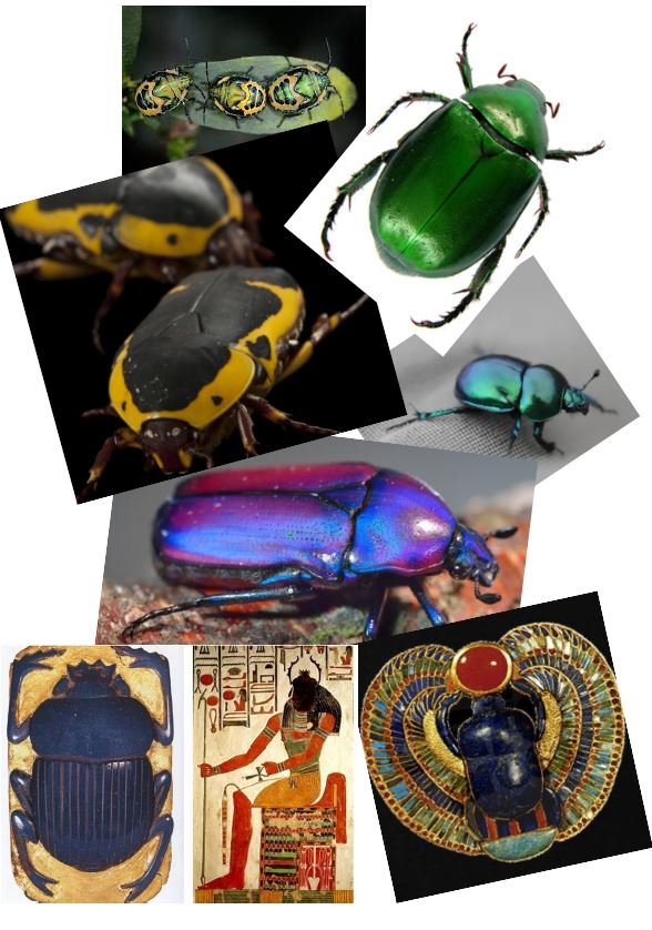 Inspiration Scarab Beetle.JPG