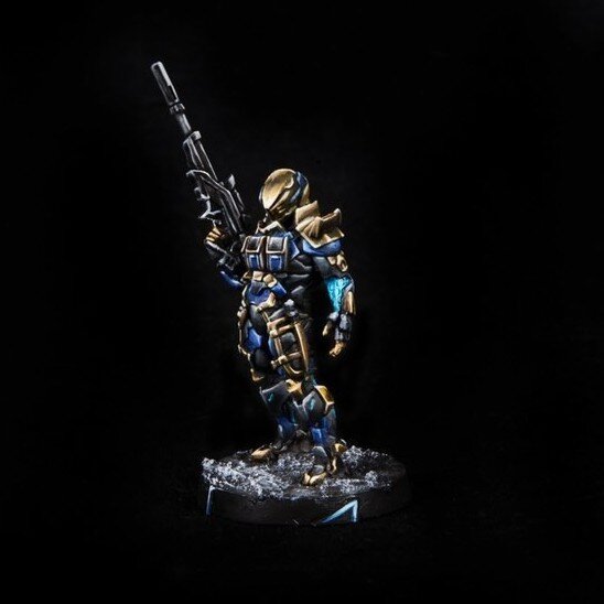 @tavernapittorica recently completed this 0-12 Epsilon from #InfinitytheGame. They painted this unit so well to fit the pose, the light gleaming of its armour as it looks off into the distance.

#CorvusBelli #Miniatures #PaintingInfinity #PaintingMin