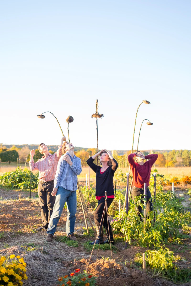 LightCreative_201410_RaleighFamilyPhotographer_family_010_web.jpg