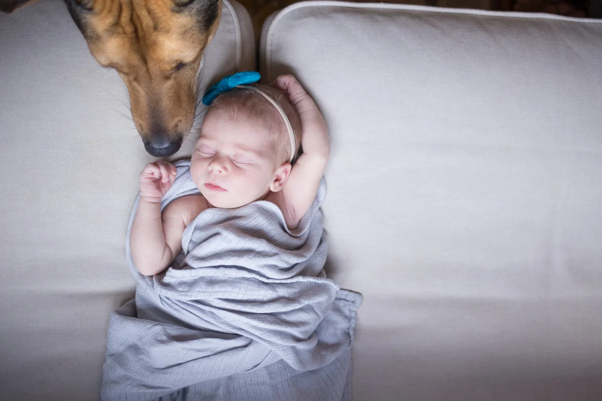 LightCreative_201710_KellayReece_RaleighNewbornPhotographer_007_blog.jpg