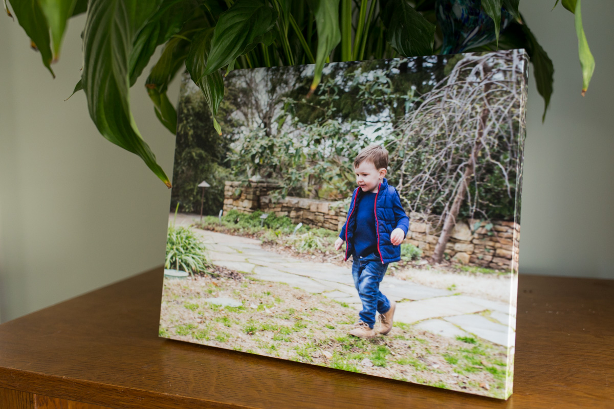 LightCreative_201903_RaleighPayWhatYouCanPhotographer_PhotoArt_PhotoProducts_BethRyan_002_blog.jpg