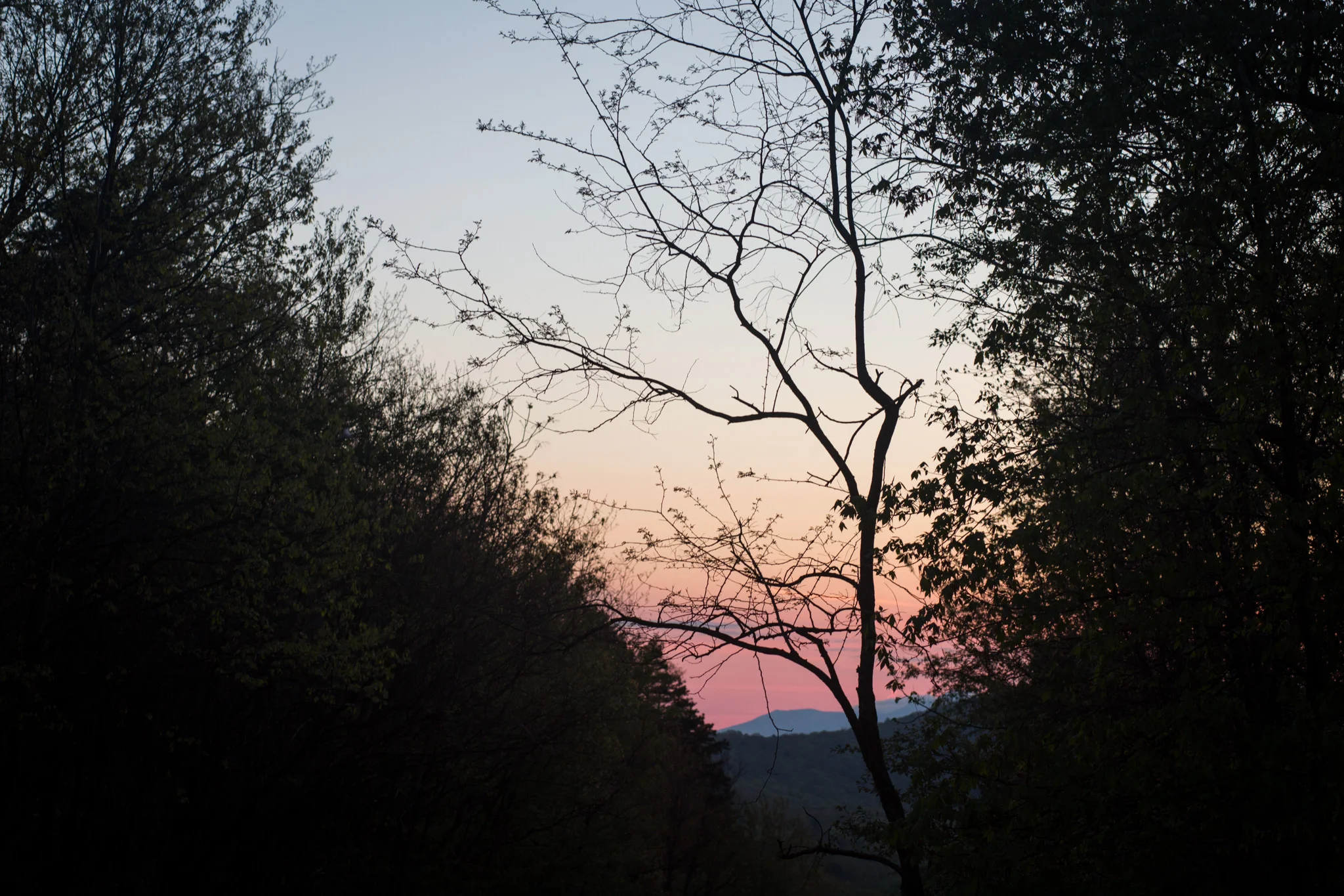 LightCreative_201904_AlexanBecky_Raleigh_Proposal_Photography_002_blog.jpg