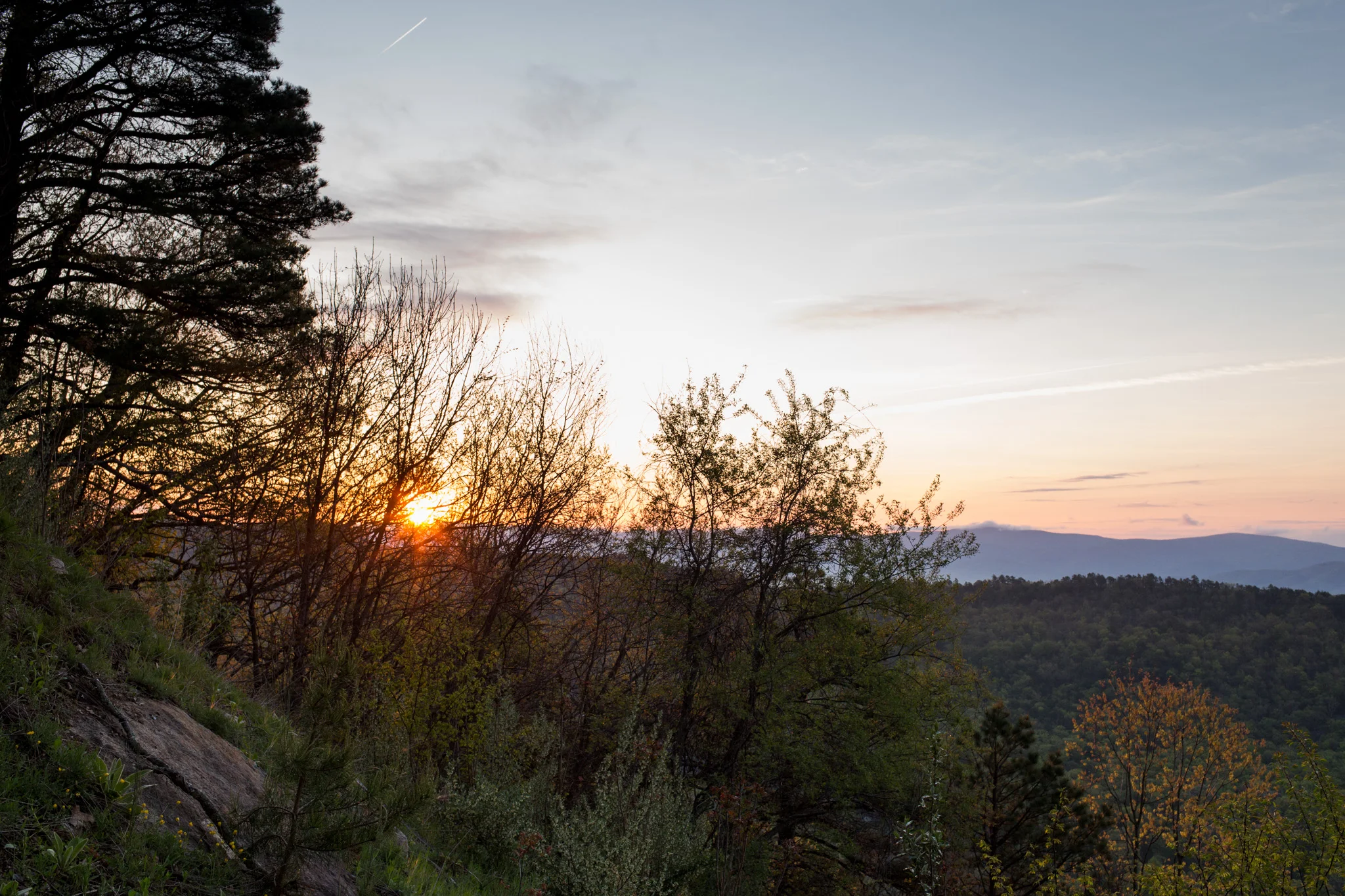 LightCreative_201904_AlexanBecky_Raleigh_Proposal_Photography_023_blog.jpg