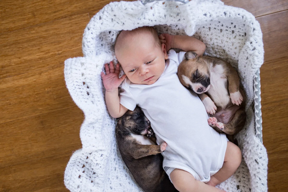 201909_Isaac&Puppies_39.jpg