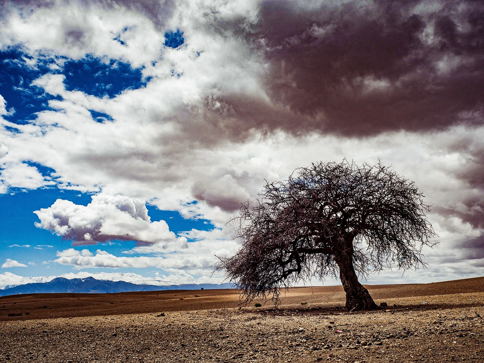 Das umfangreiche Adobe Lightroom Workflow, Fotoverbesserungs- und Fotobuch Wissen