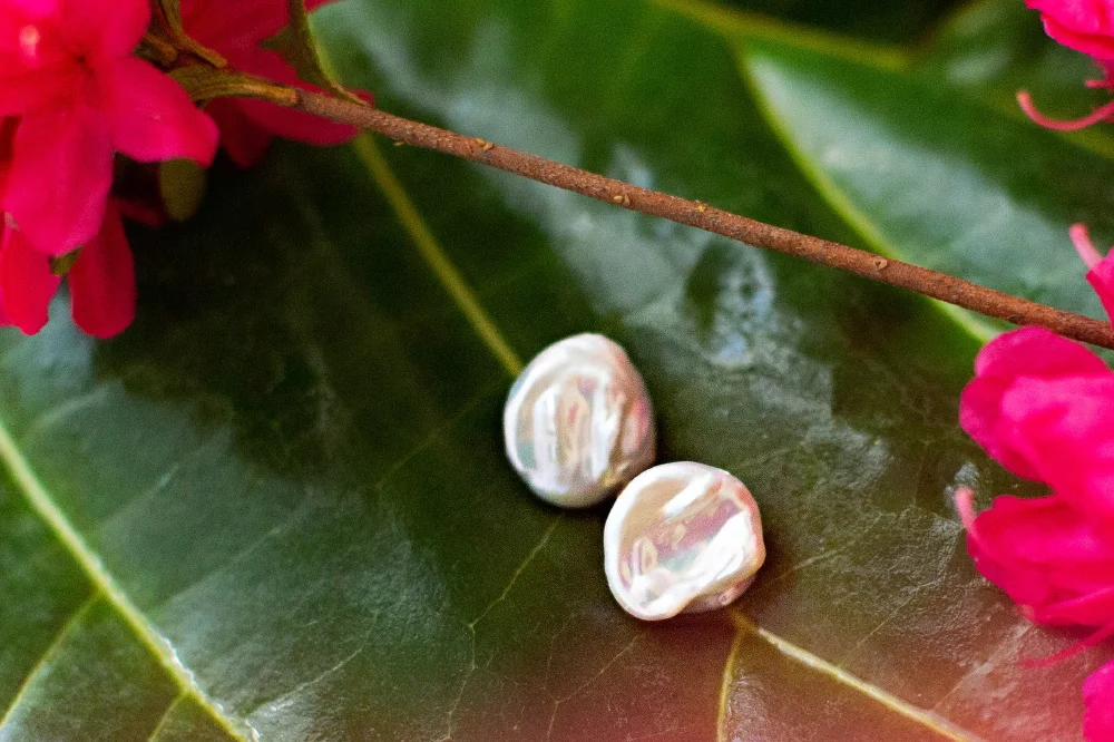 Fresh Water Pearl Studs