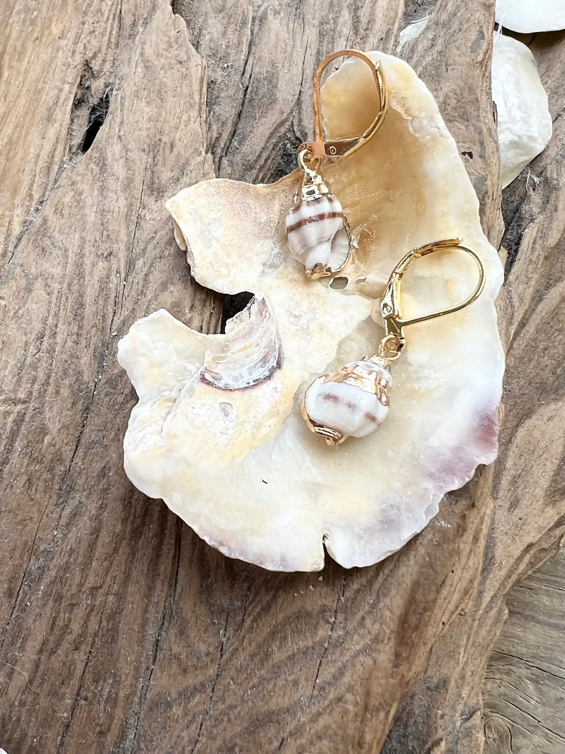 649BBA21-953D-4DAB-A909-14ECD96AFC81