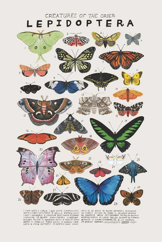 beauty cabinet overhaul