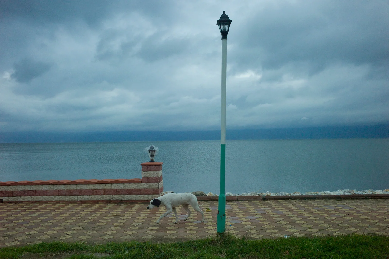 L1024861.jpg