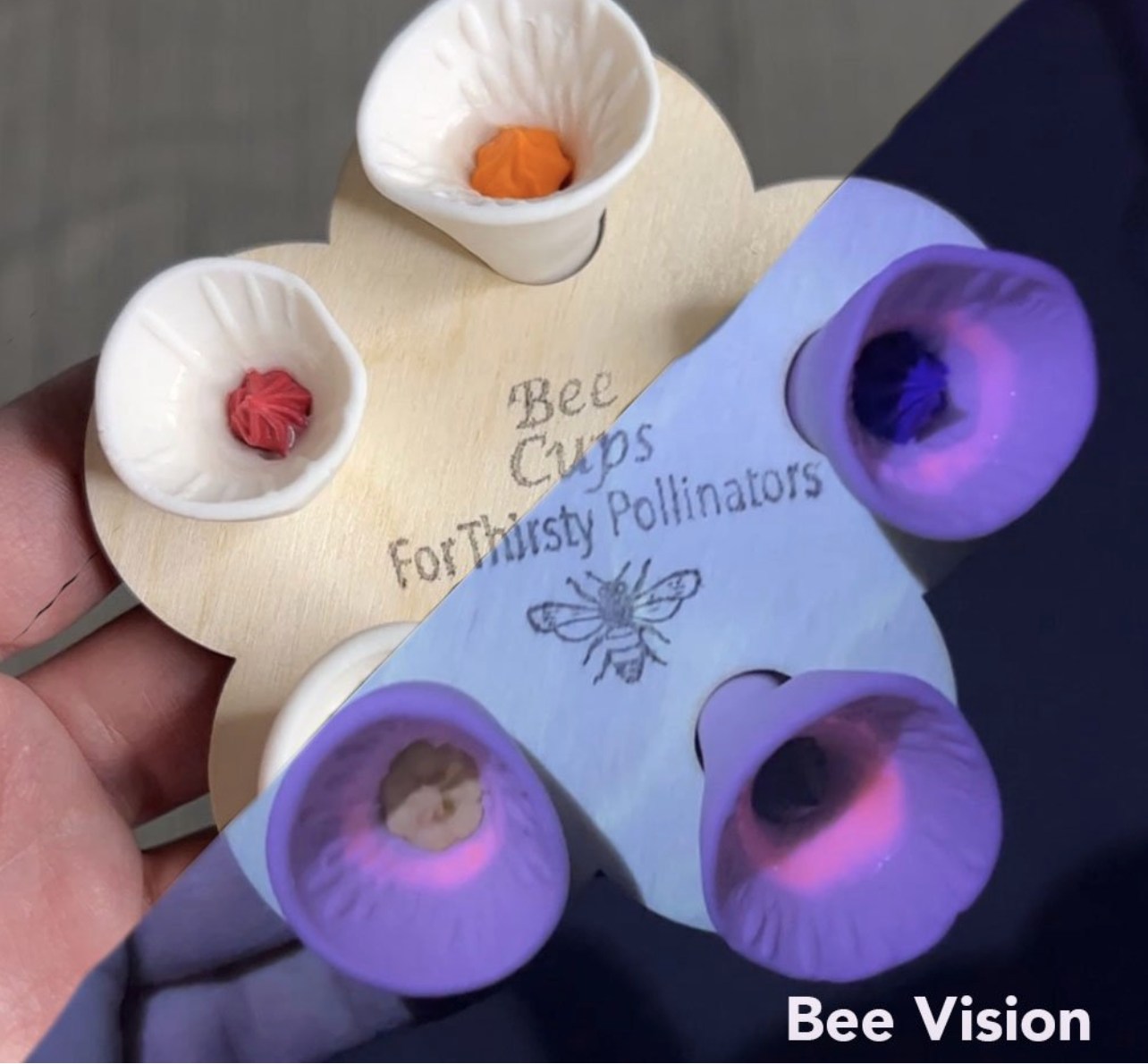 Bee Vision
