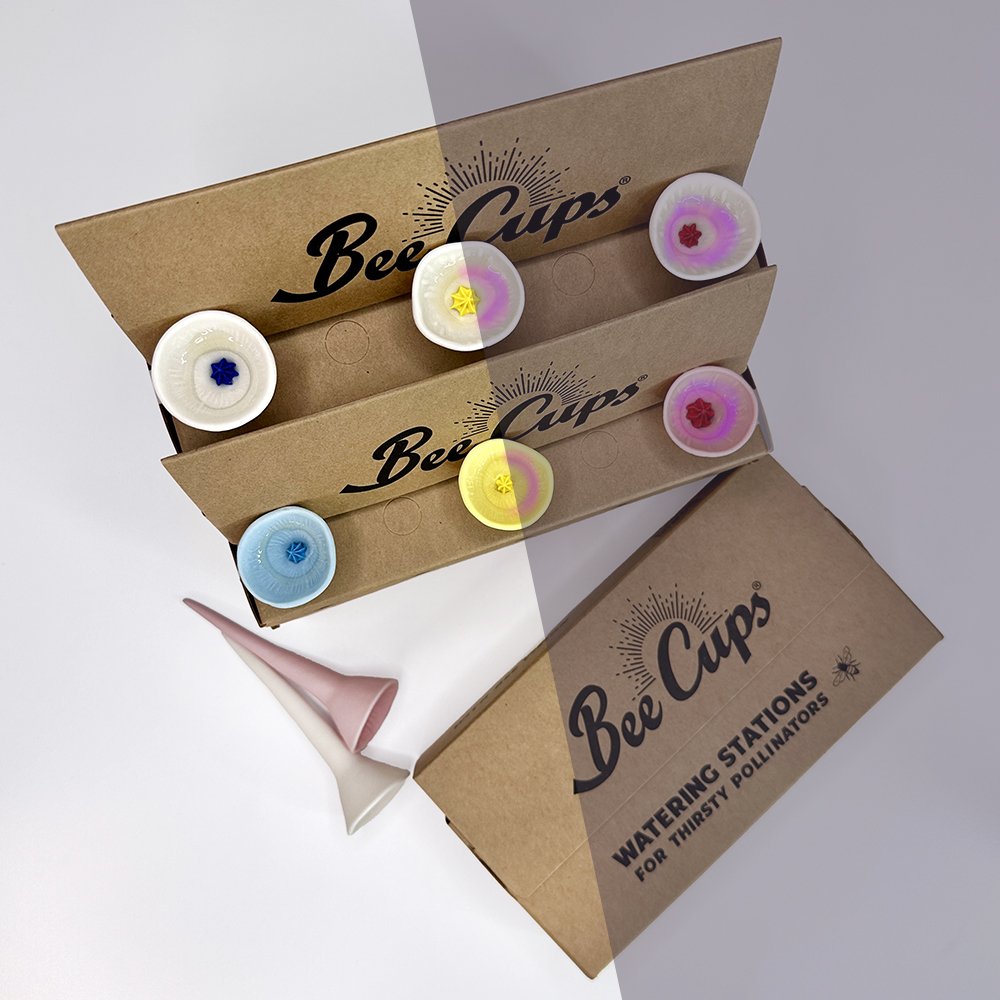 Best Sellers Bundle top view copy.jpg