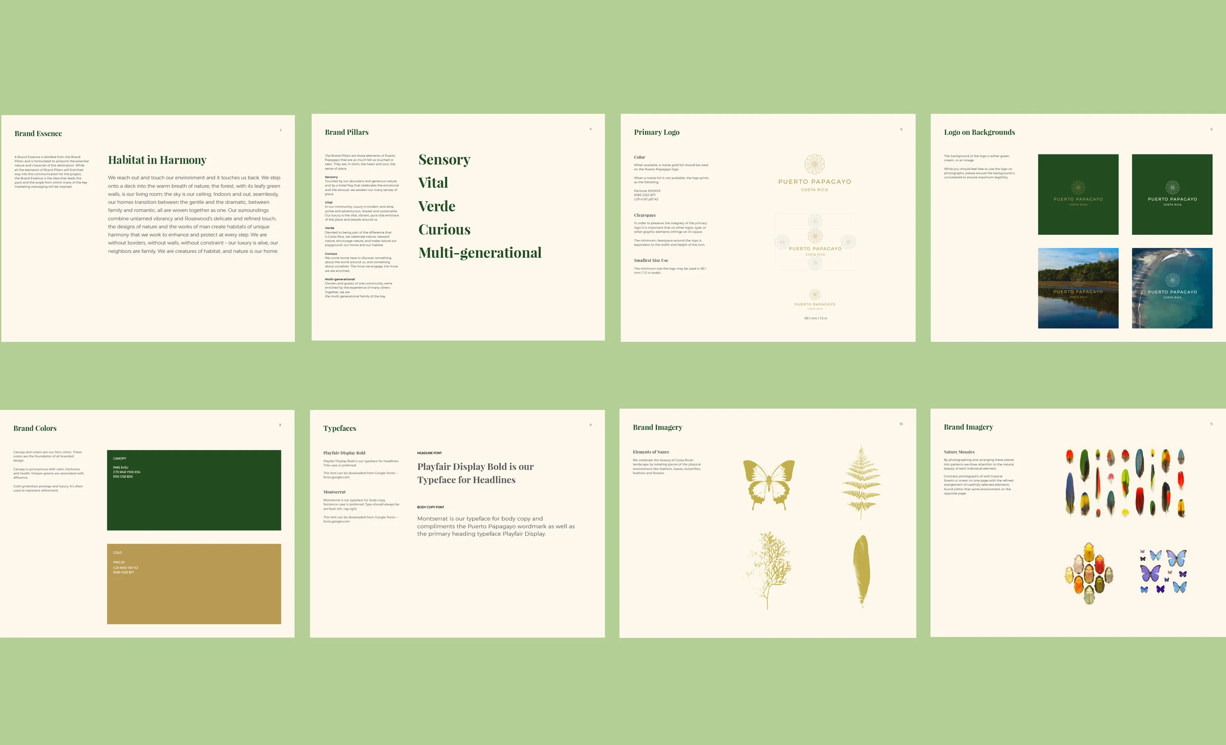 Papagayo-BrandGuidelines.jpg