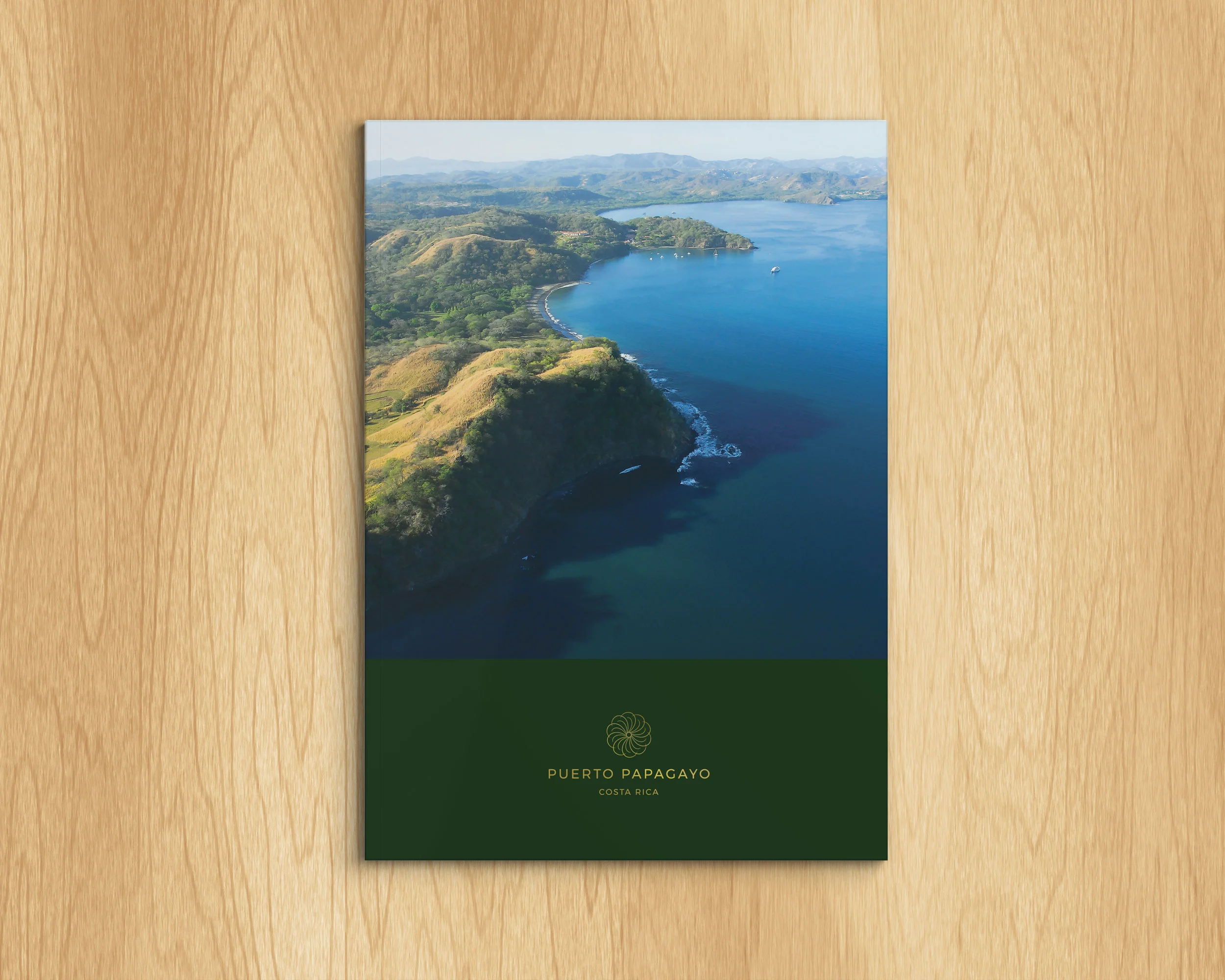 Papagayo-cover.jpg