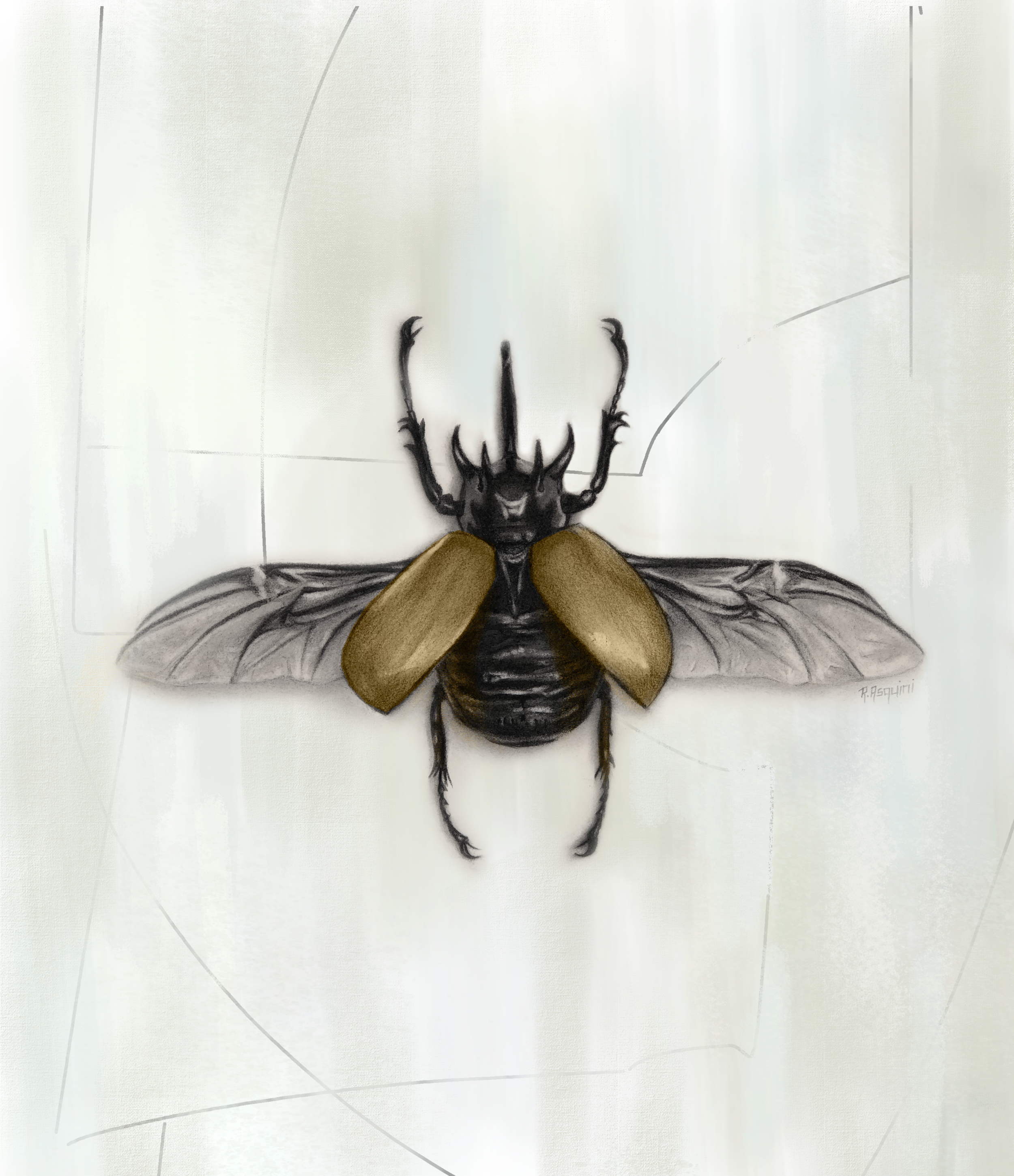 Beetle.png