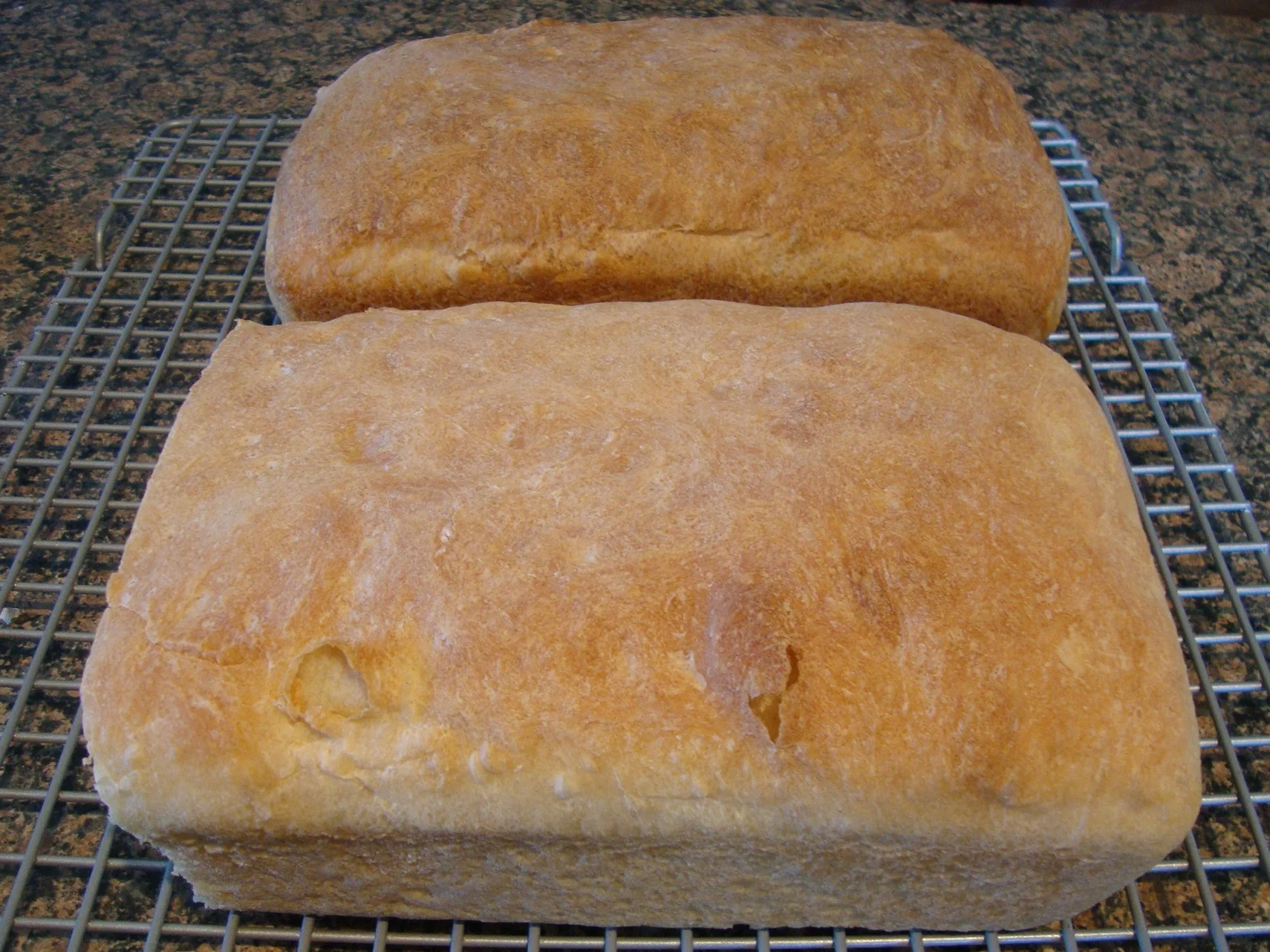 Homemade honey wheat bread