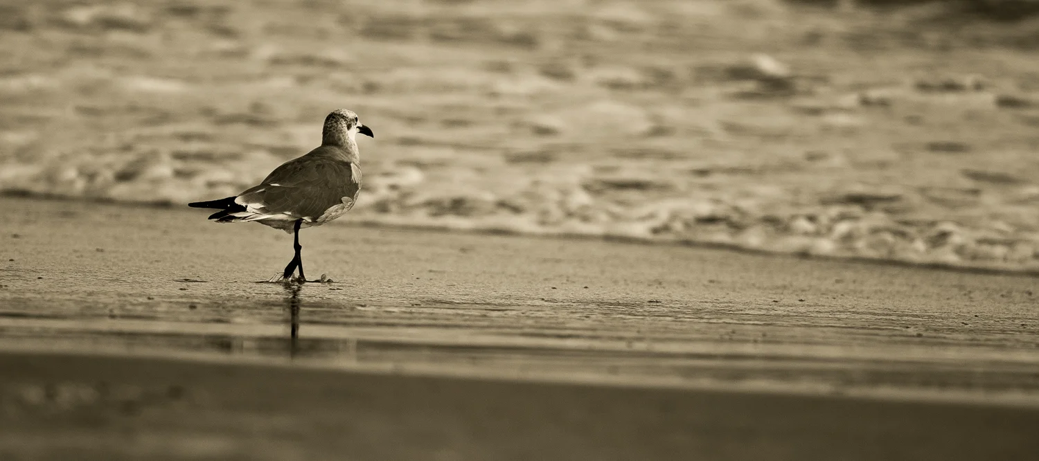 Unknown Journey Ahead