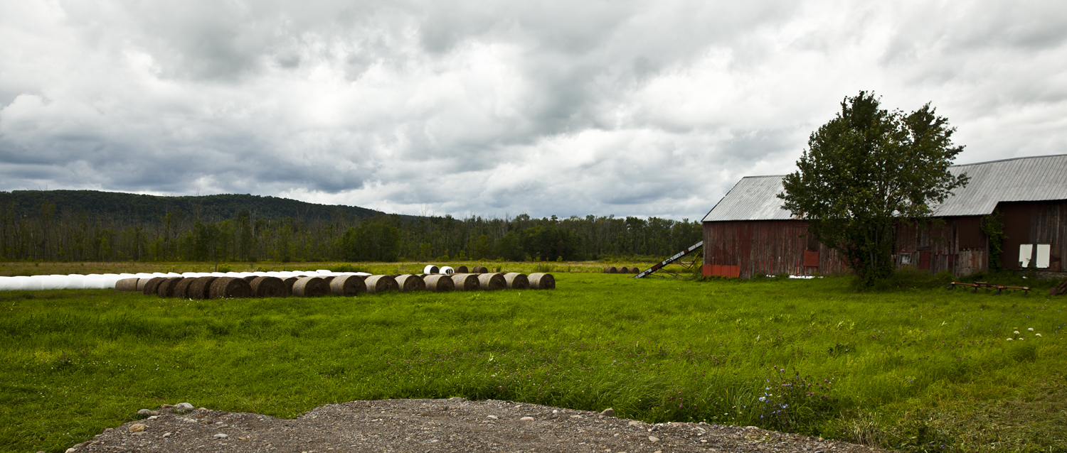 GREEN, GREEN GRASS OF HOME