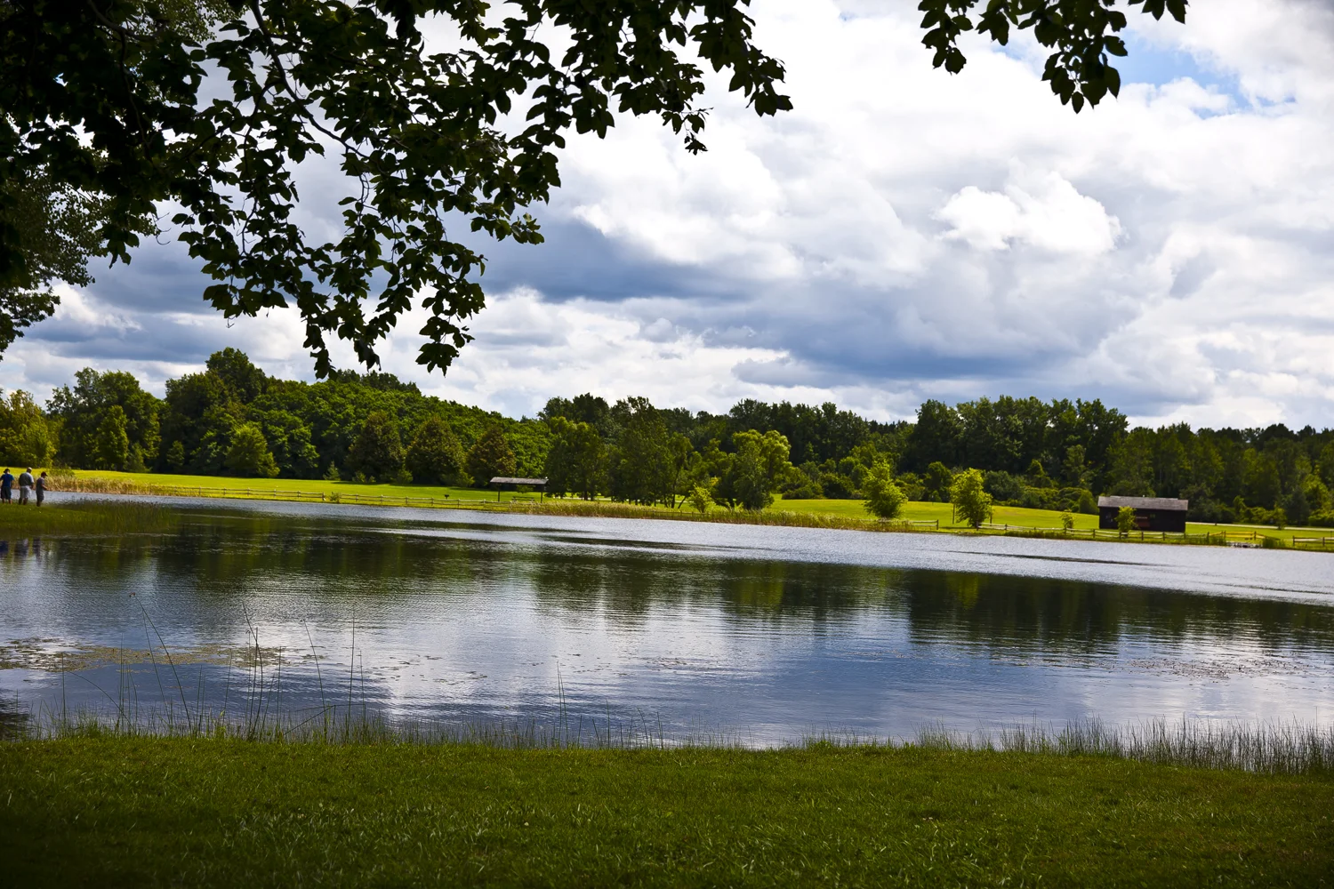 Lake Darien, NY