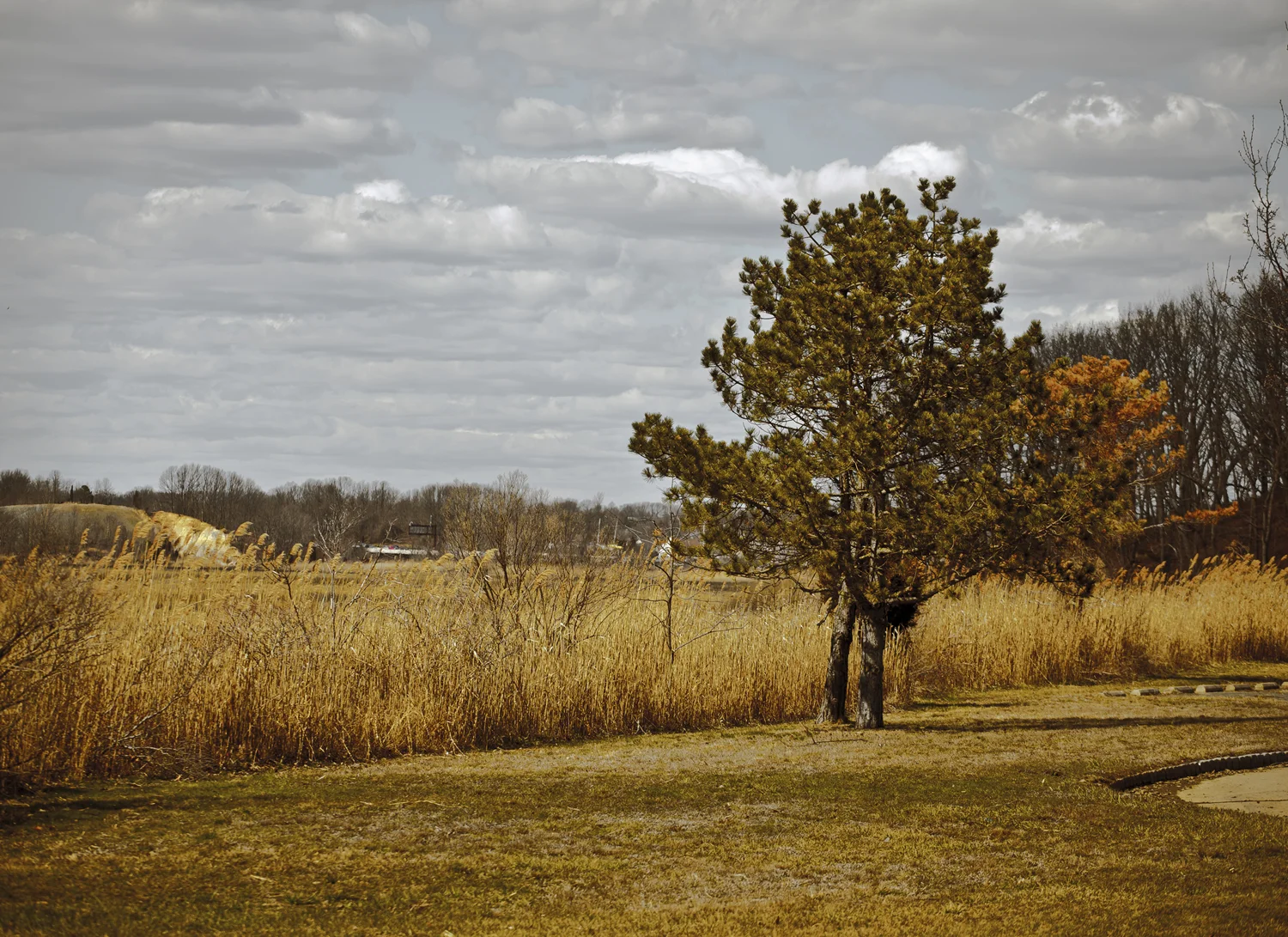 Alone, Not Lonely