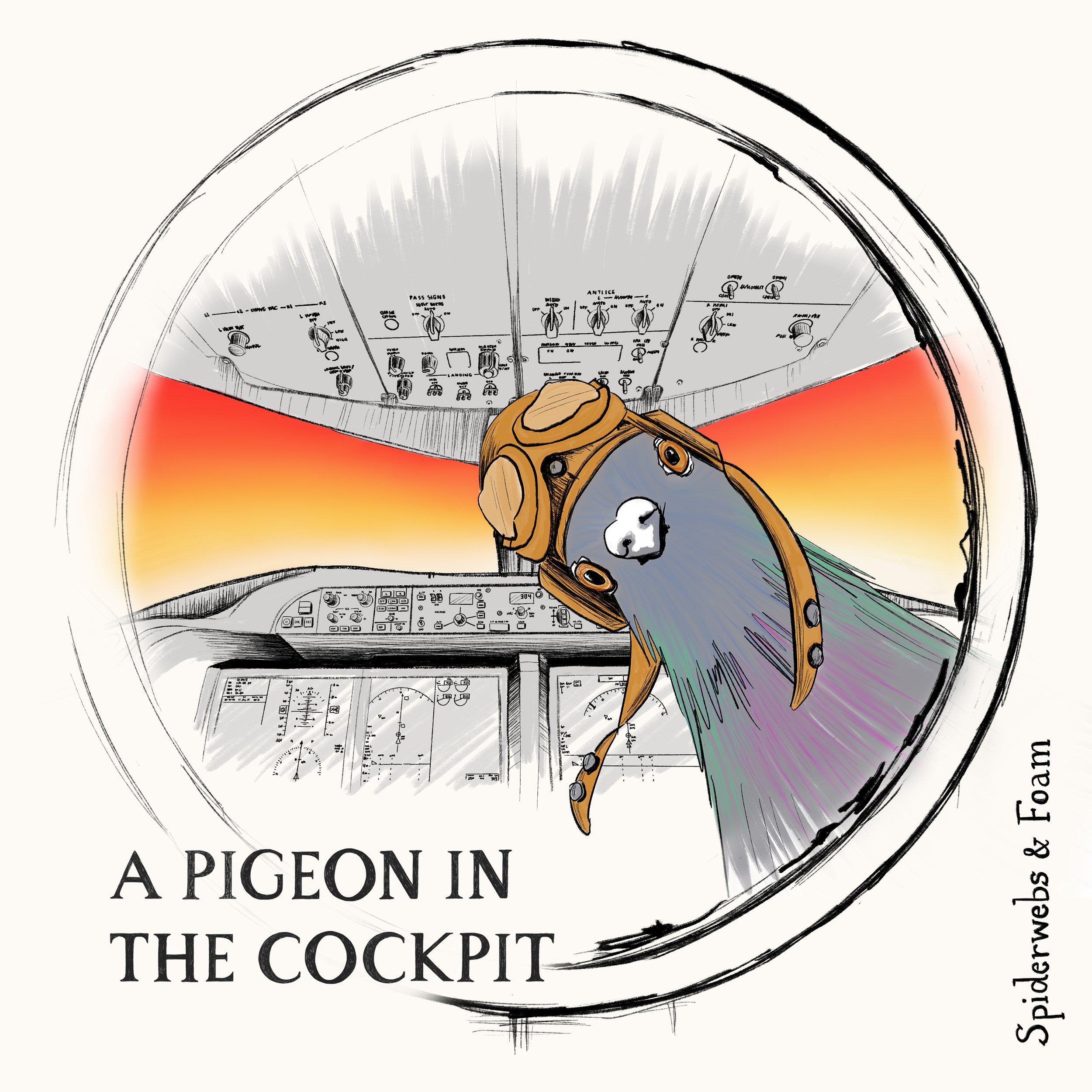 Albumcover_a-pigeon-in-the-cockpit.jpg