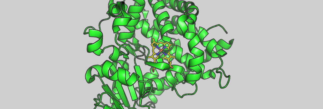 banner pymol gray.png