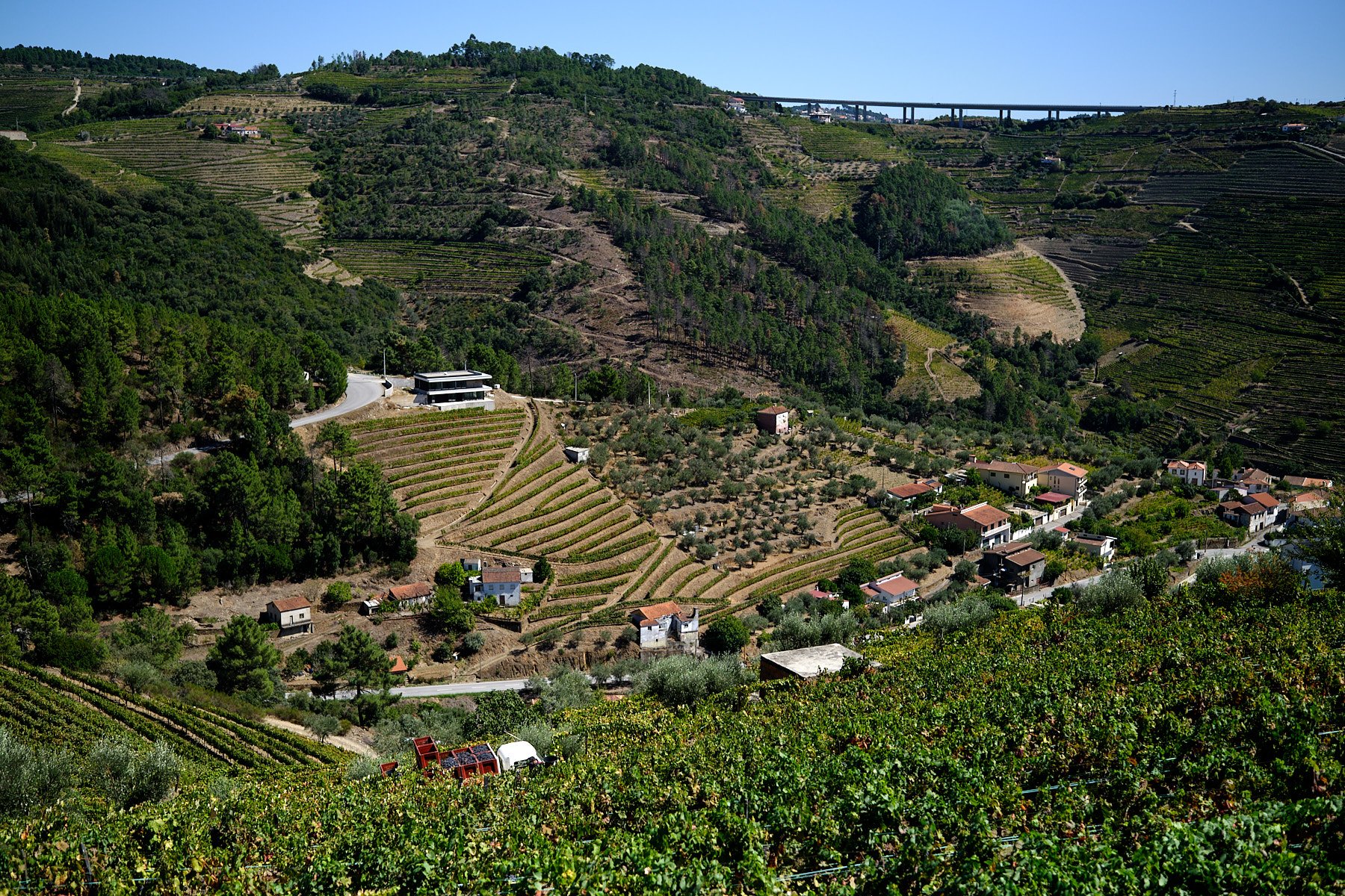 Qta_RaizesdeCoracao_110926_003_web.jpg