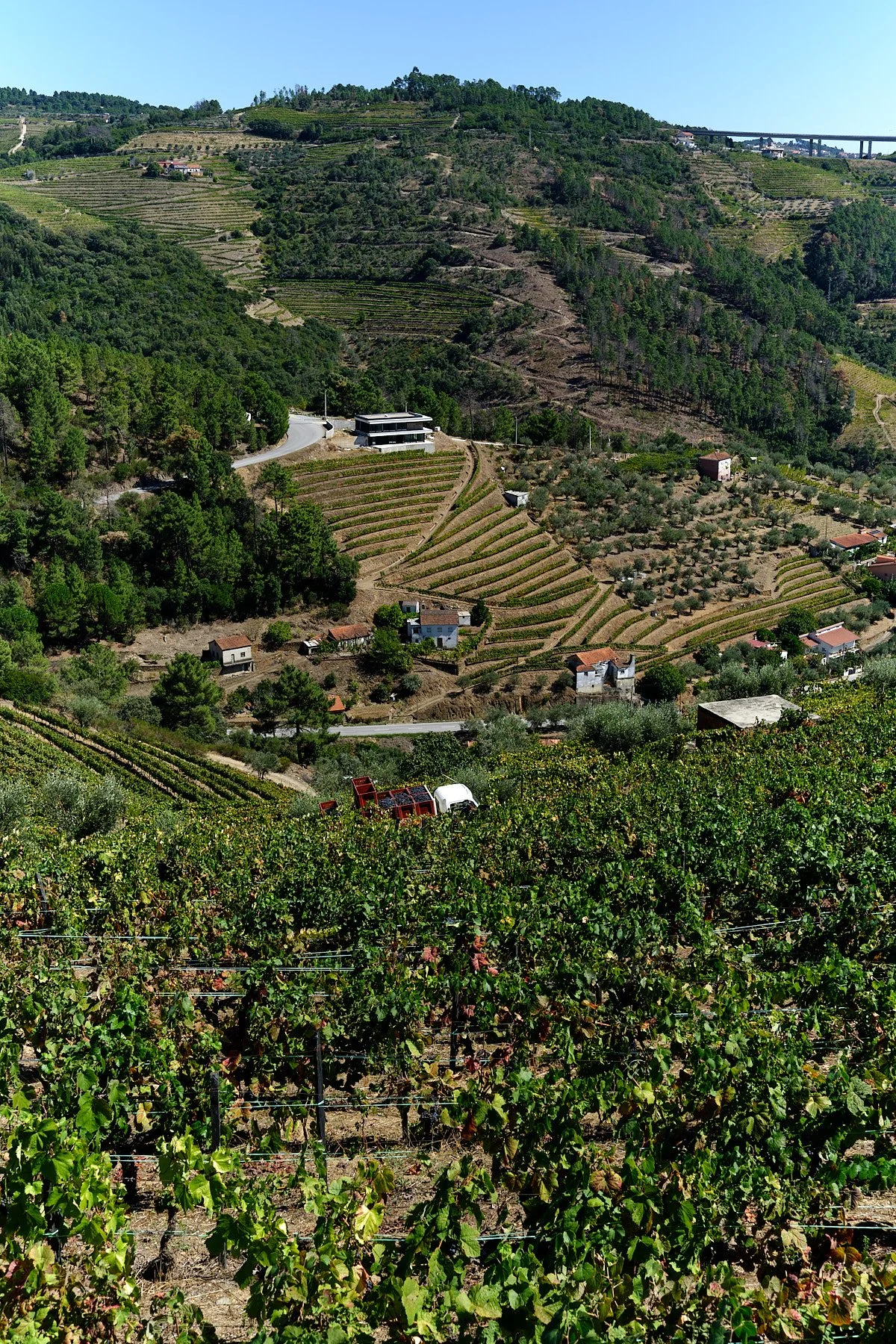 Qta_RaizesdeCoracao_110926_004_web.jpg