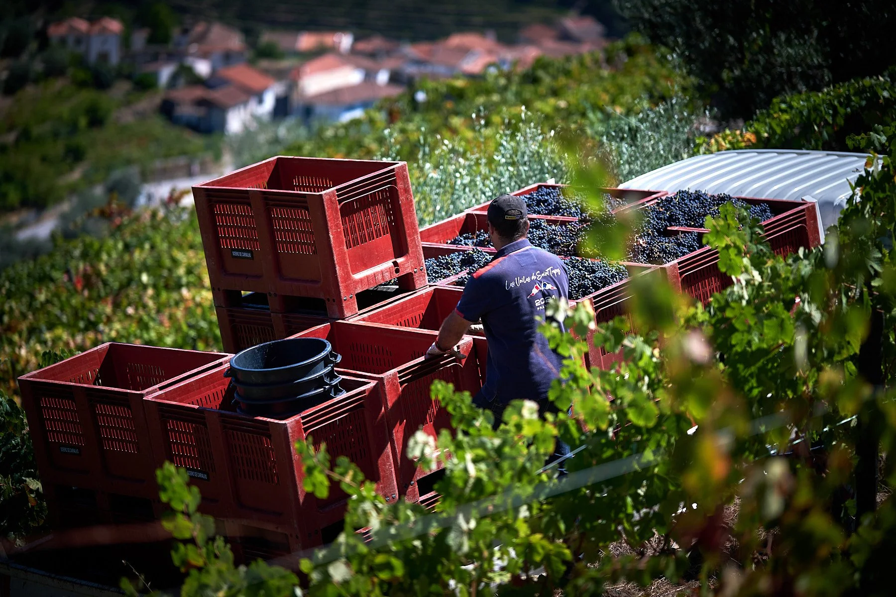 Qta_RaizesdeCoracao_110926_021_web.jpg