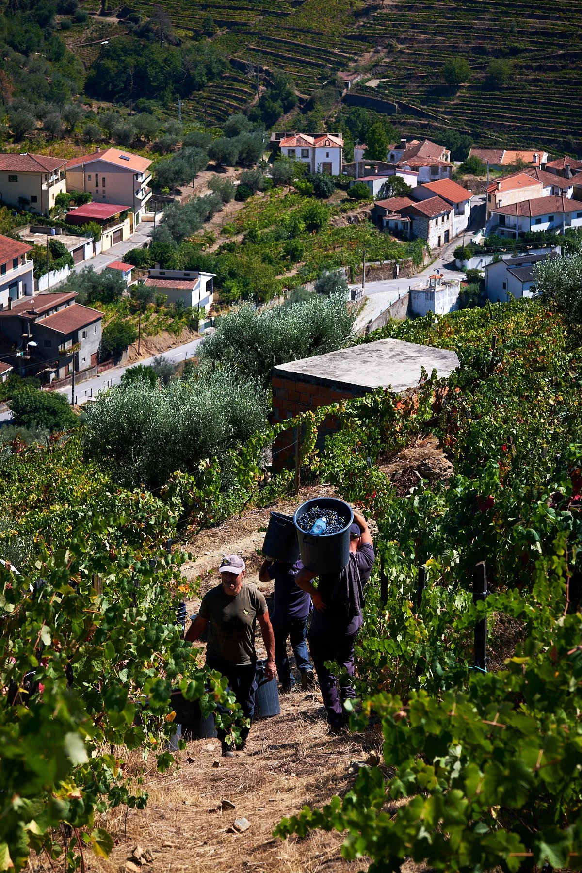 Qta_RaizesdeCoracao_110926_032_web.jpg