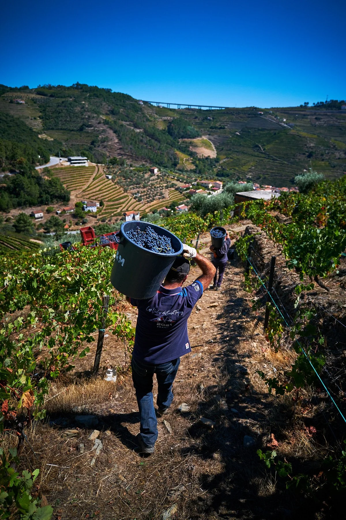 Qta_RaizesdeCoracao_110926_038_web.jpg