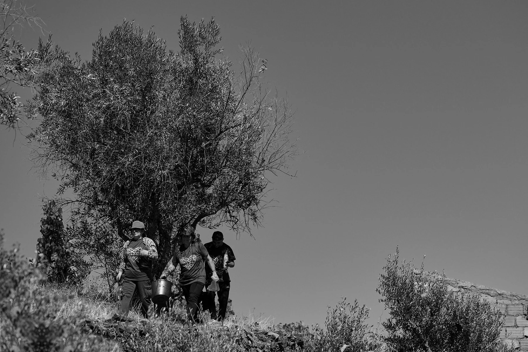 Qta_RaizesdeCoracao_110926_042_web.jpg