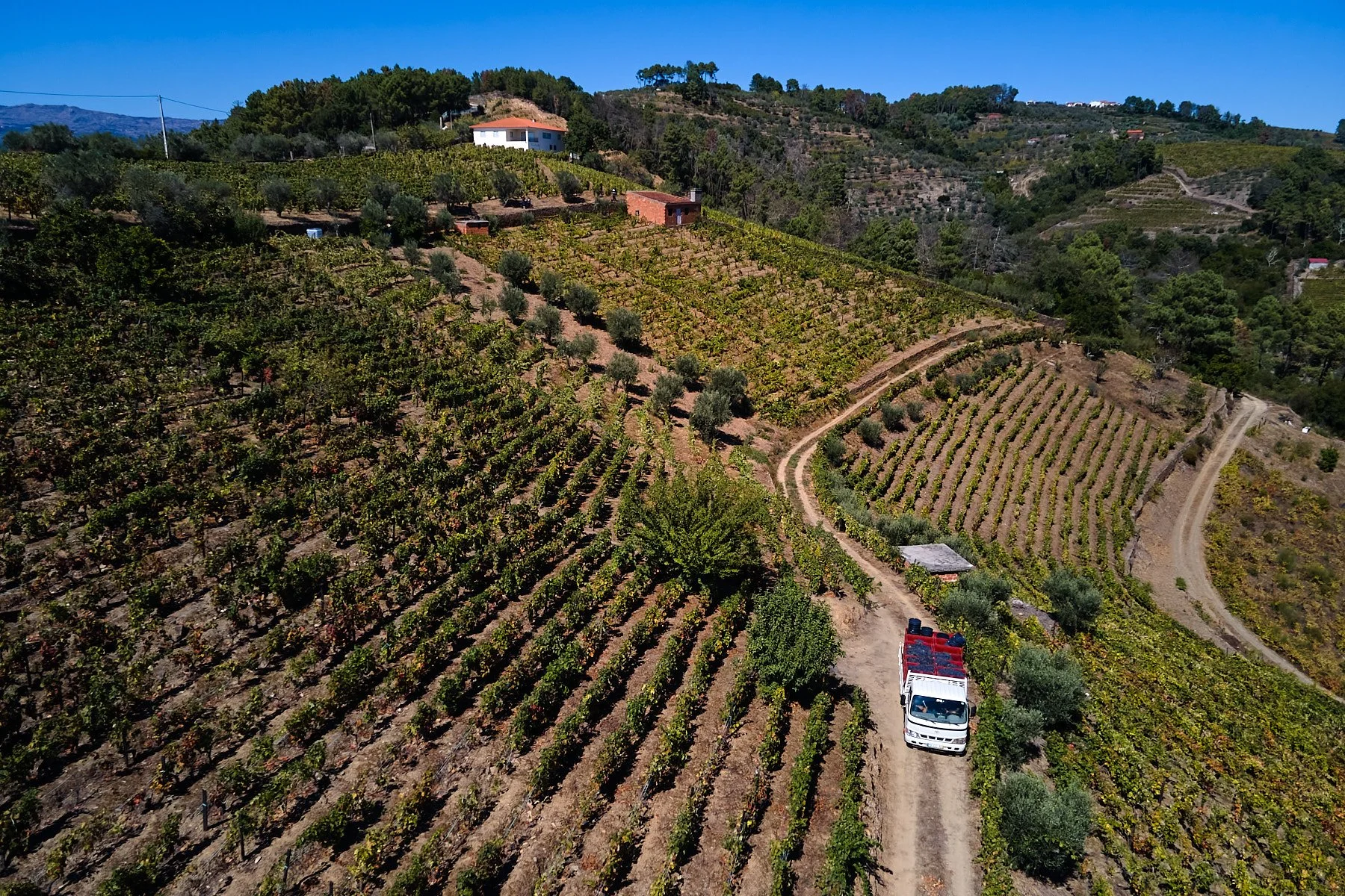 Qta_RaizesdeCoracao_110926_049_web.jpg