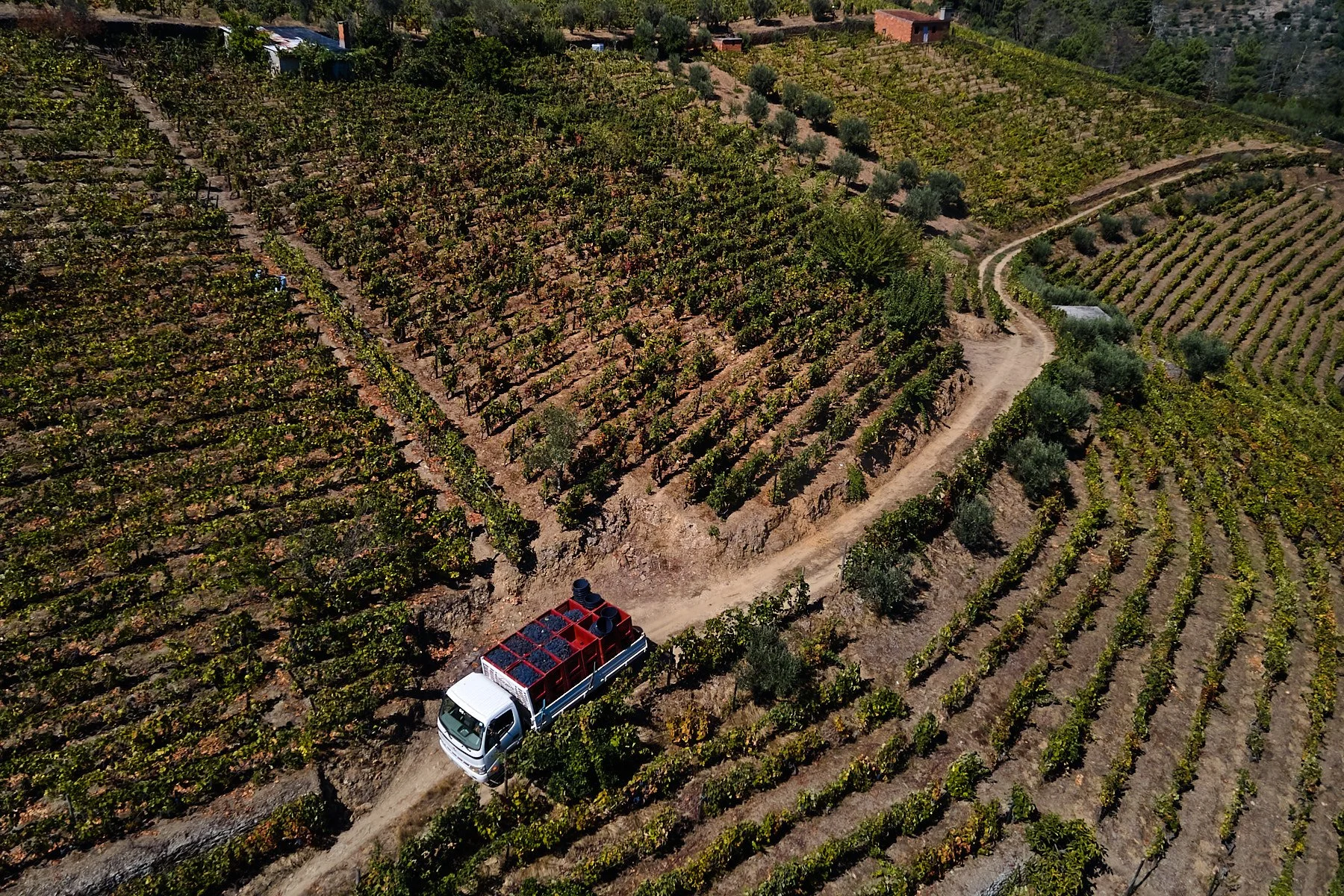 Qta_RaizesdeCoracao_110926_051_web.jpg