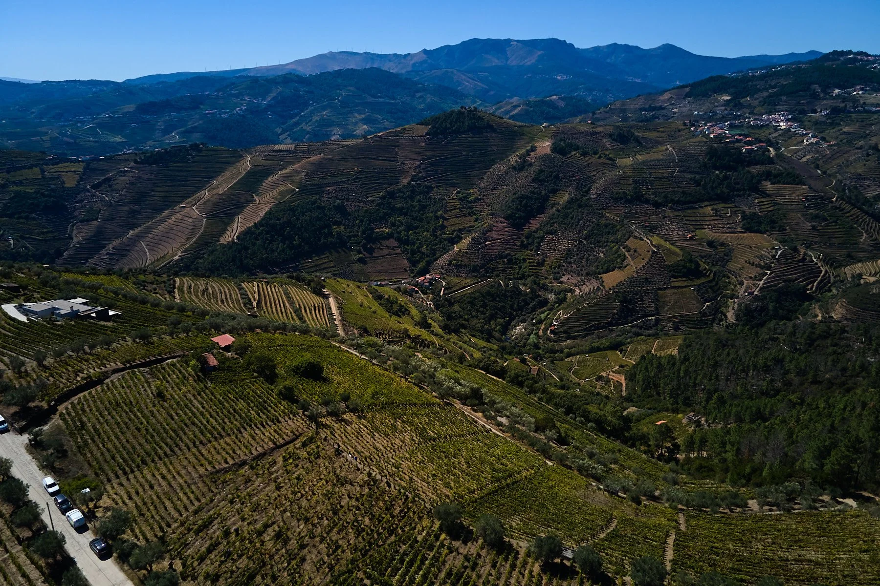 Qta_RaizesdeCoracao_110926_054_web.jpg