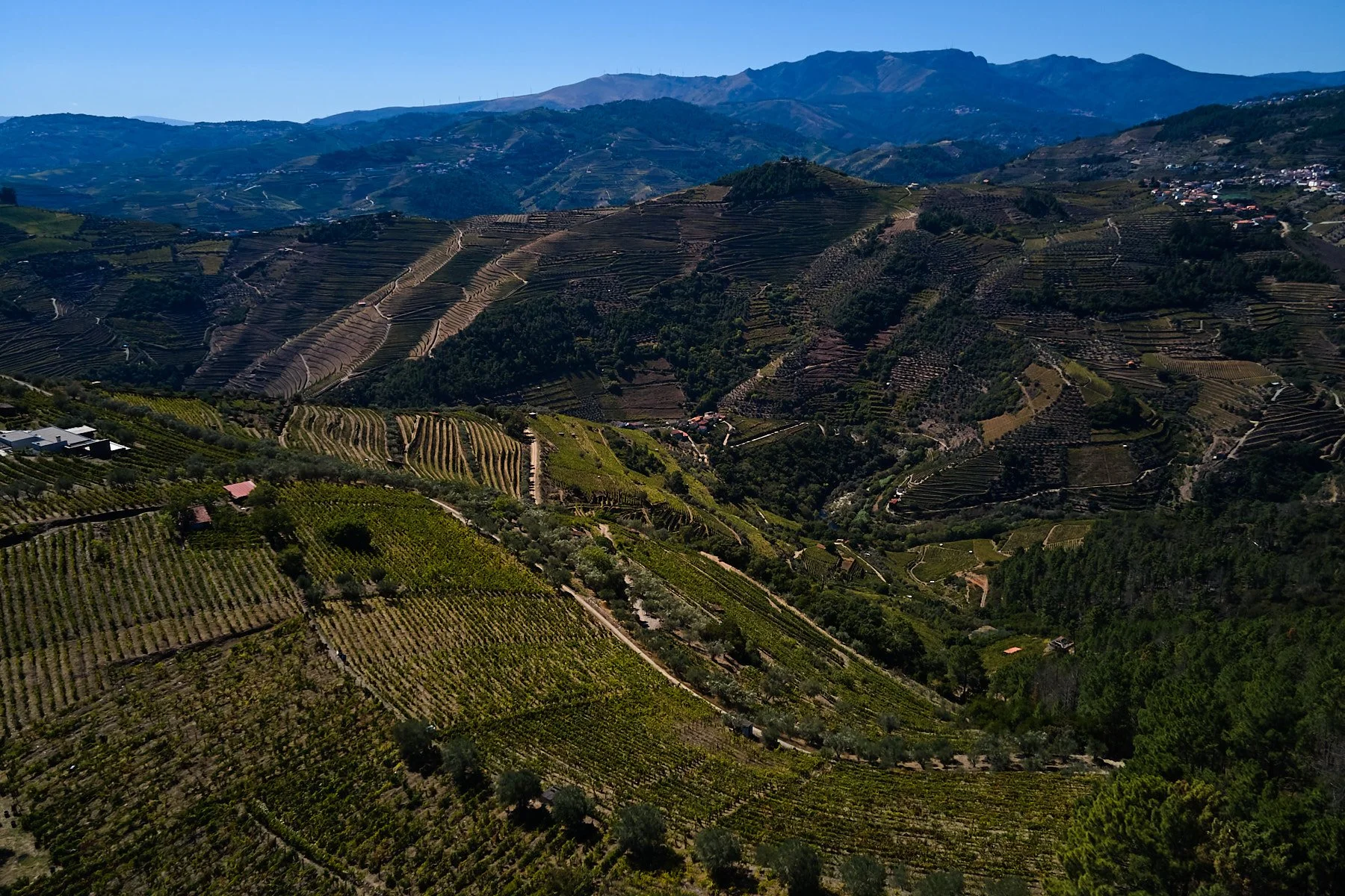 Qta_RaizesdeCoracao_110926_055_web.jpg