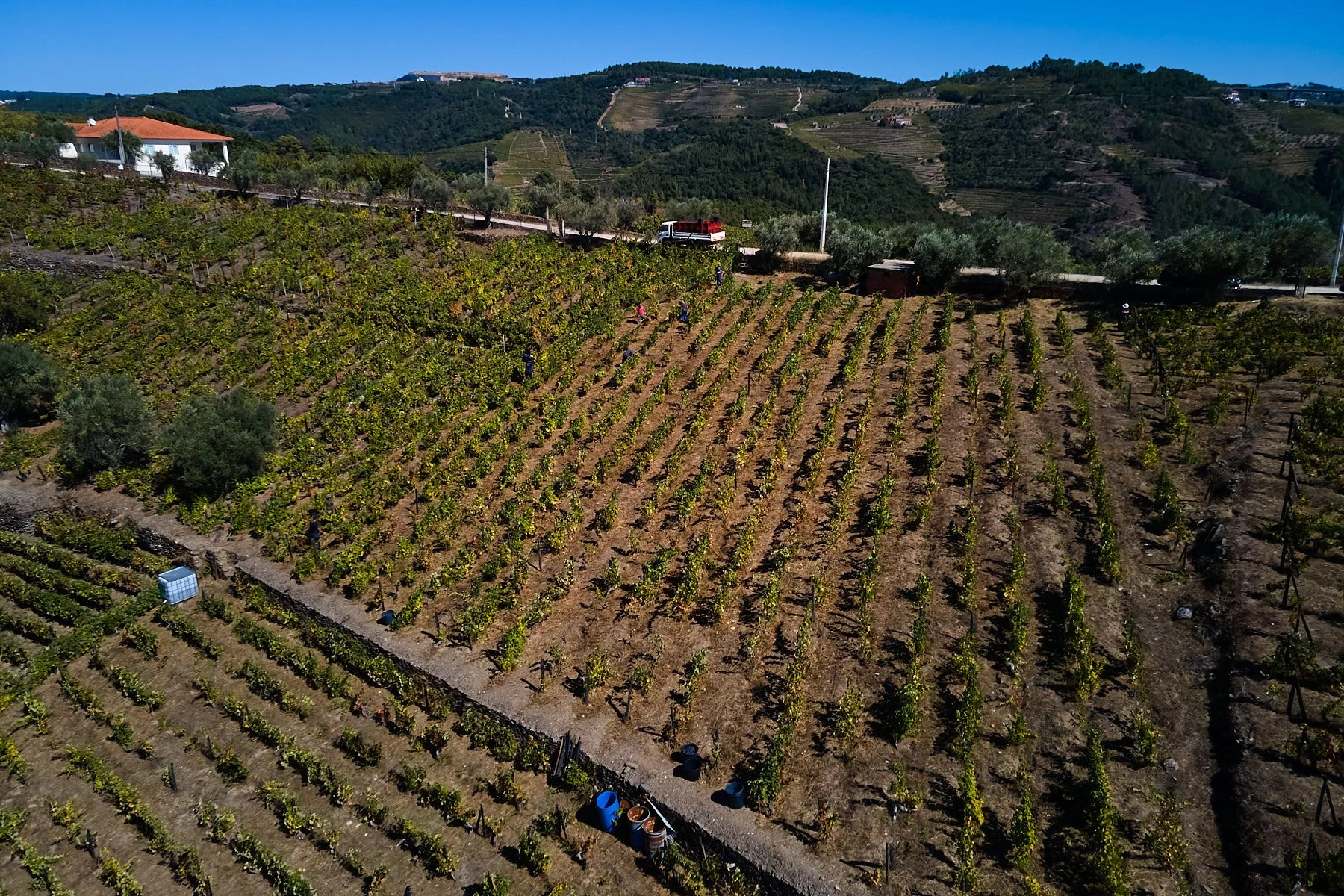 Qta_RaizesdeCoracao_110926_073_web.jpg