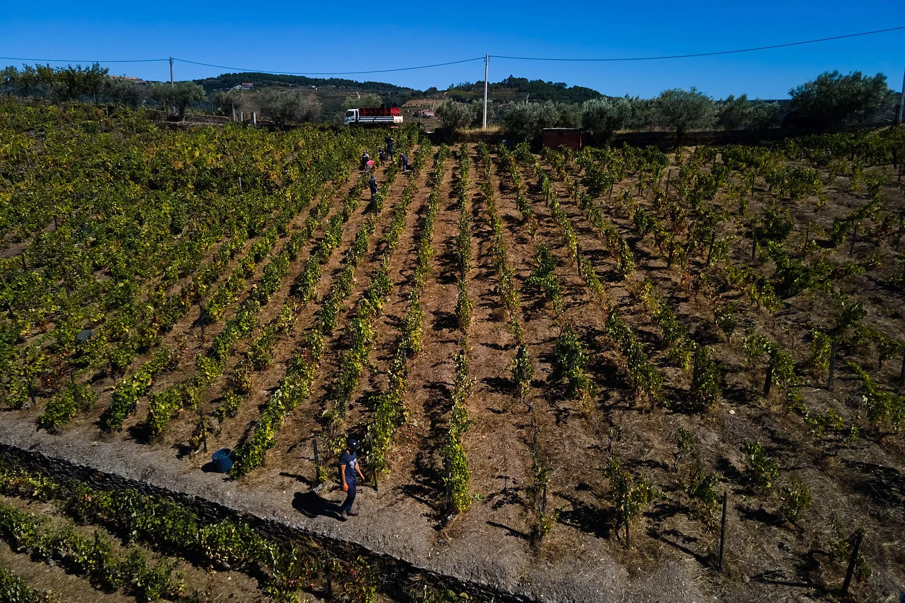 Qta_RaizesdeCoracao_110926_074_web.jpg