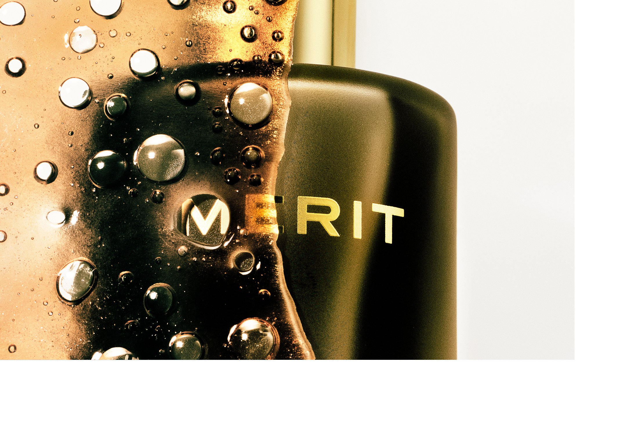 Merit_ intro.jpg