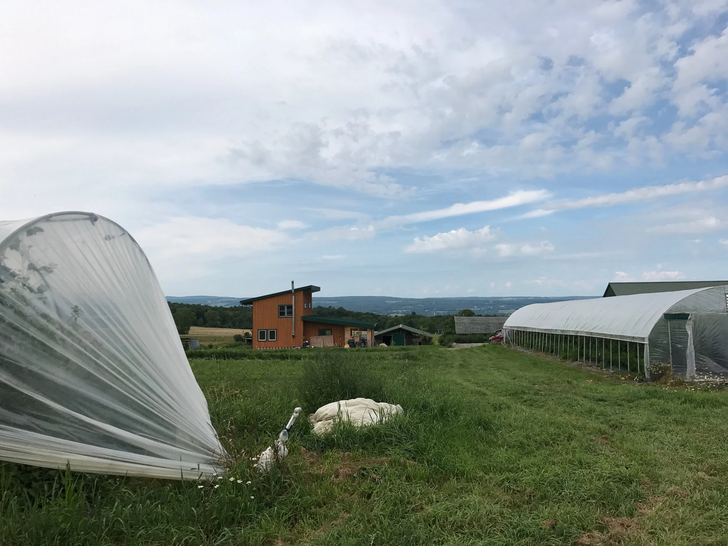 Plowbreak Farm in Burdett, New York