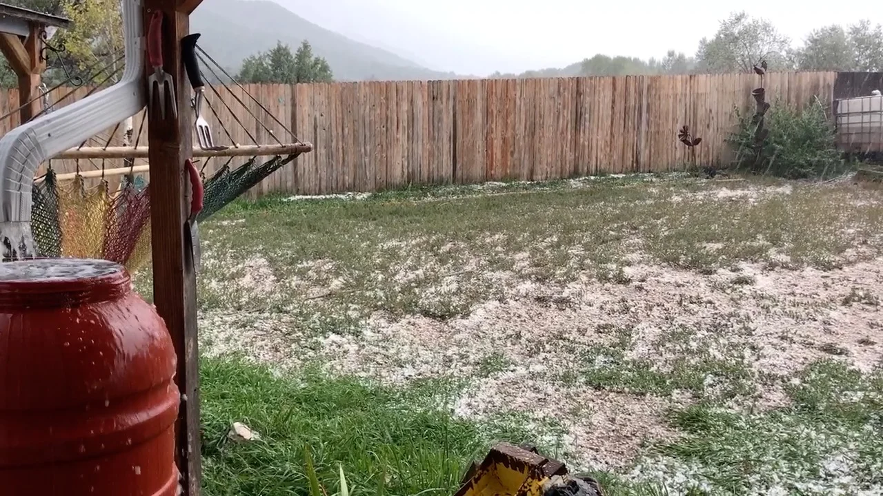 Hail accumulating during an afternoon storm. It looked as if a bean bag chair exploded, everywhere.