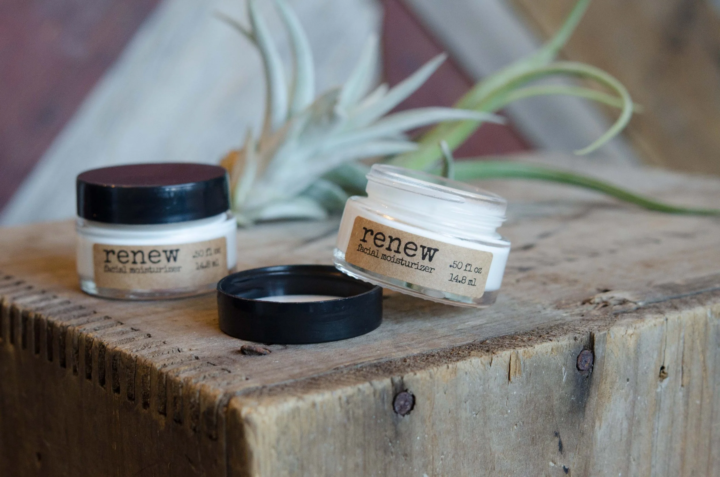 renew-0499.jpg