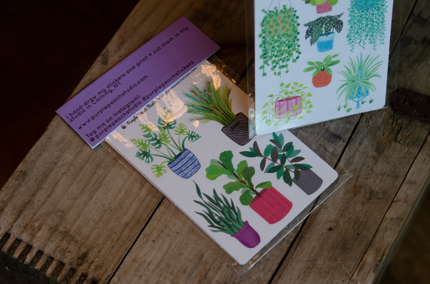 Plant Love: Plants - Stickers  Single Sticker Sheet or Pack of 5 – Cheery  Human Studios