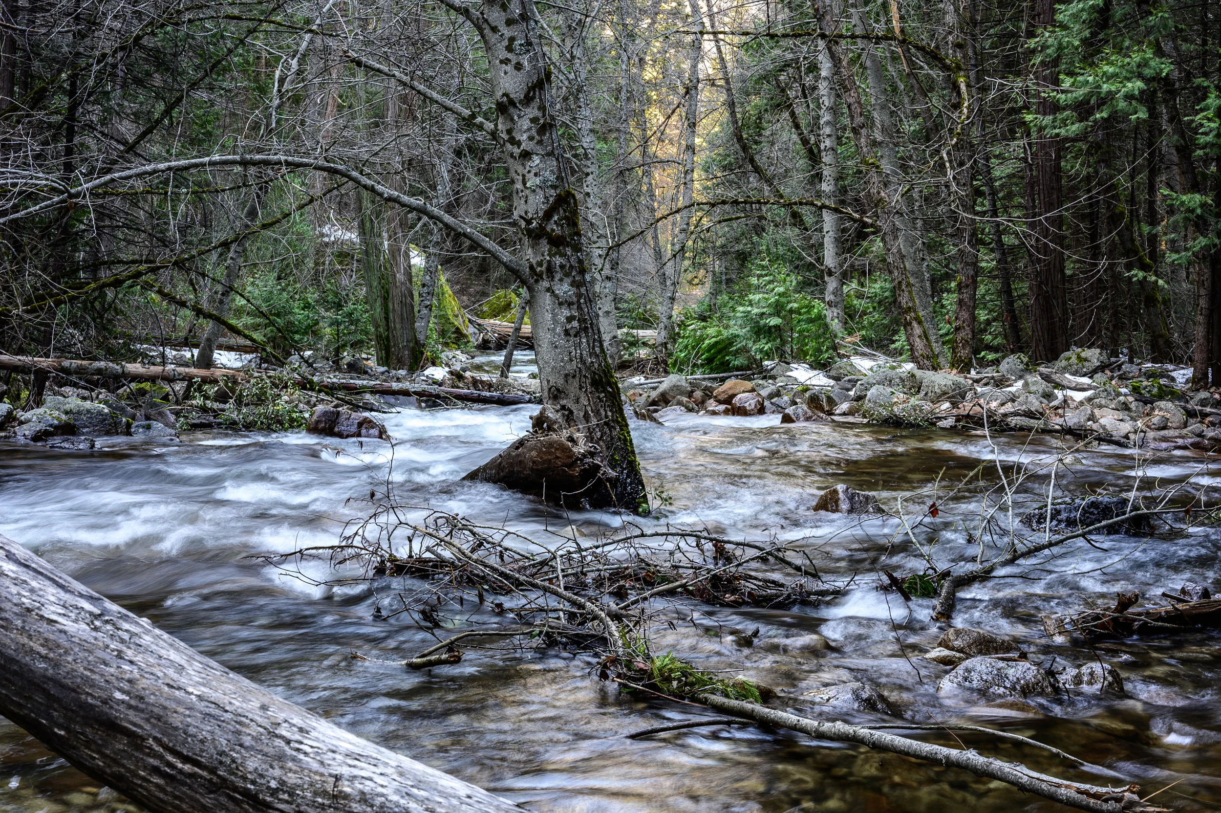DSC_5374.jpg