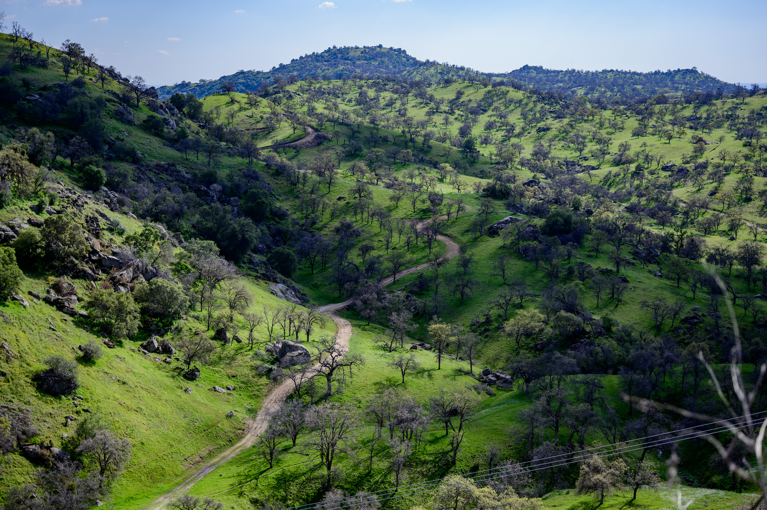 DSC_6184.jpg