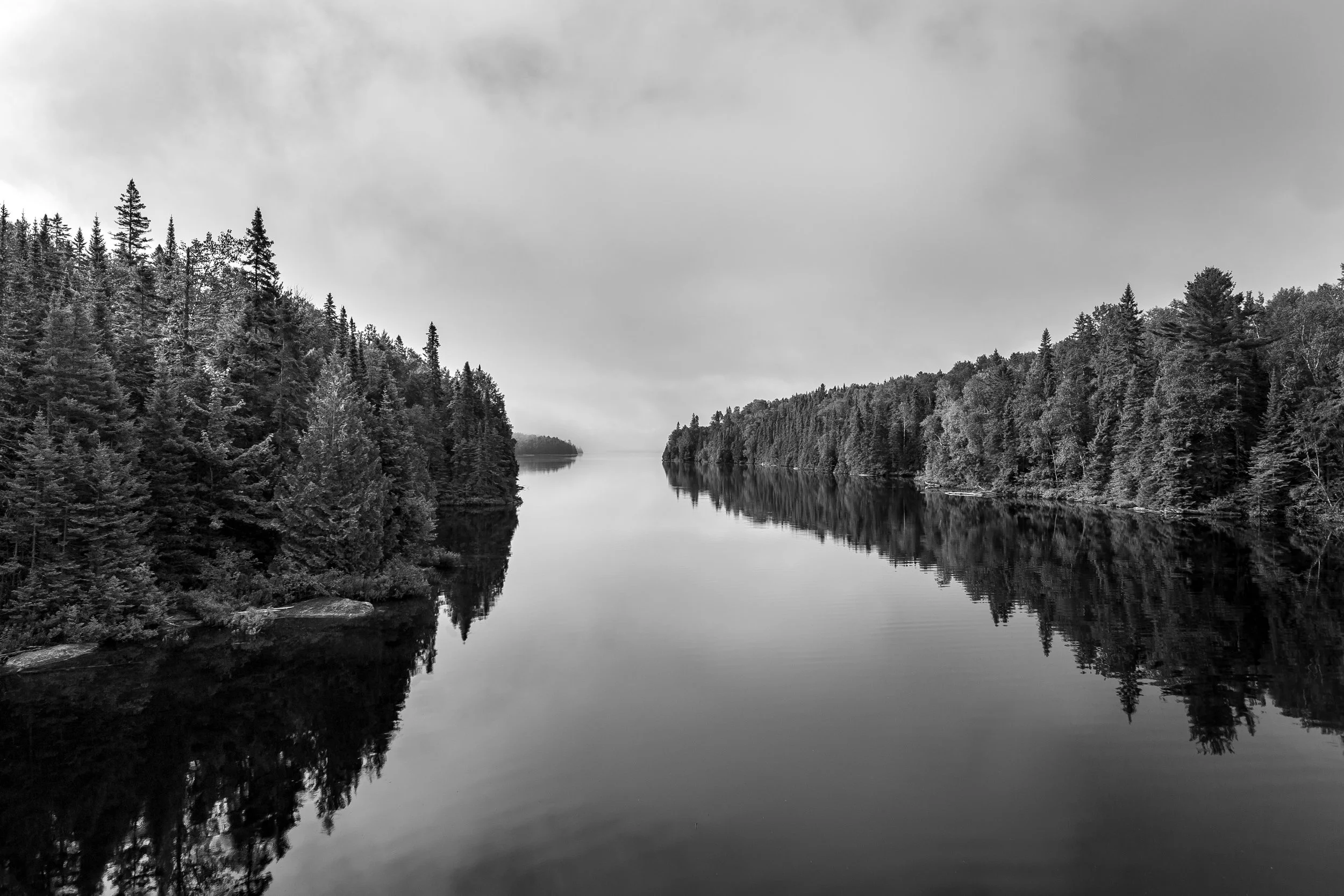 IMG_2734.jpg