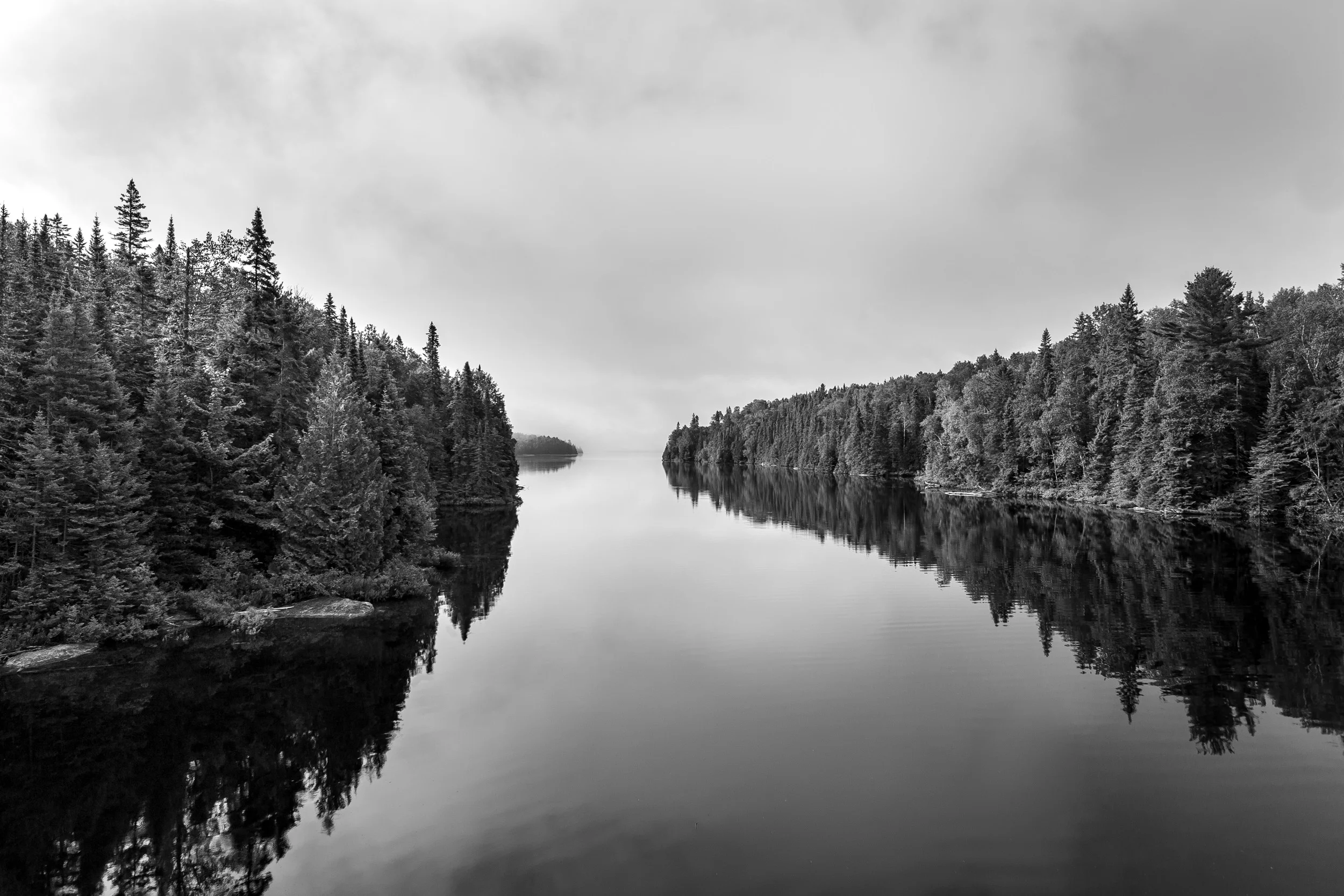IMG_2734.jpg