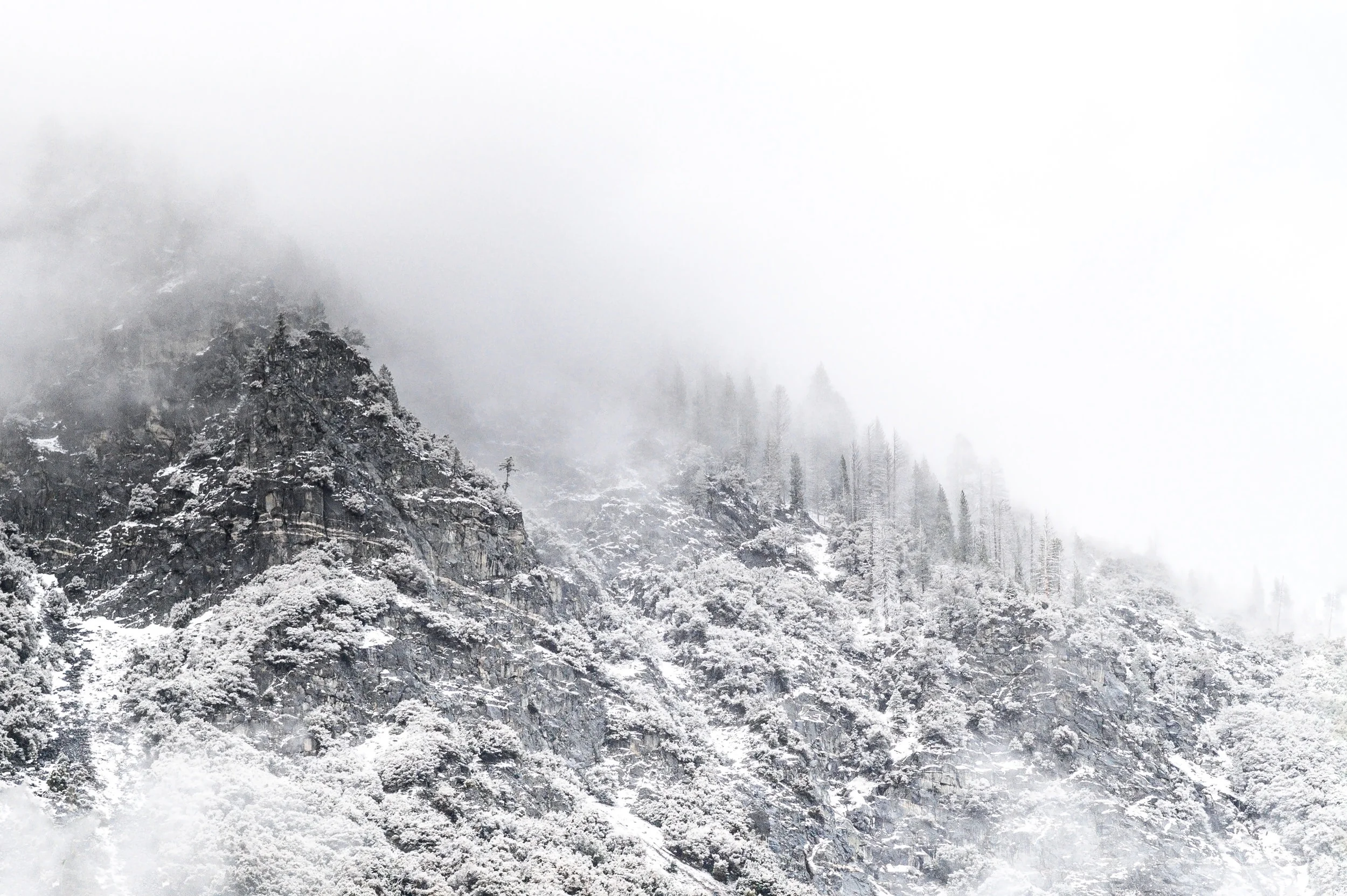 DSC_6088-Edit.jpg