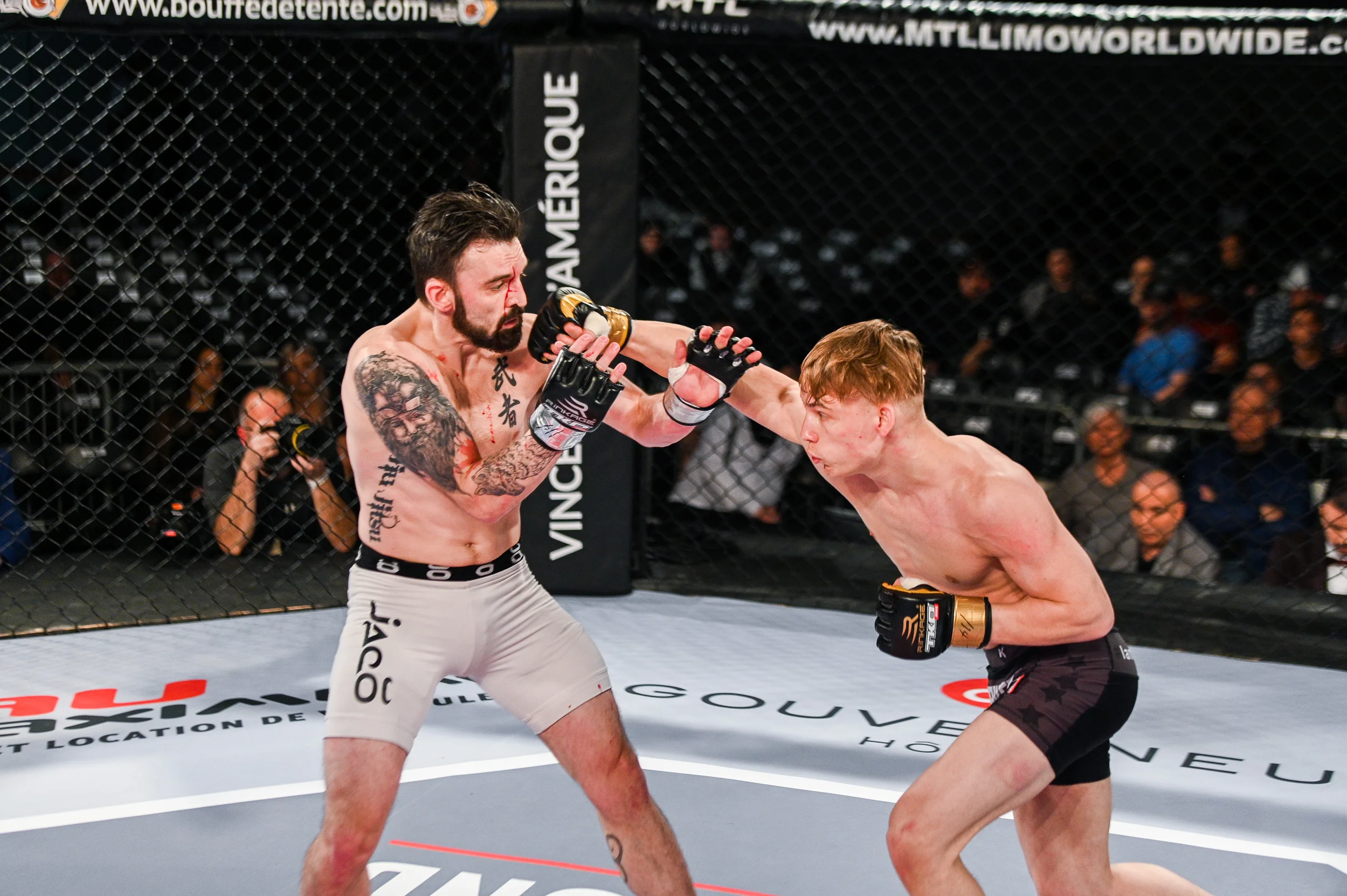 tko47-7.jpg