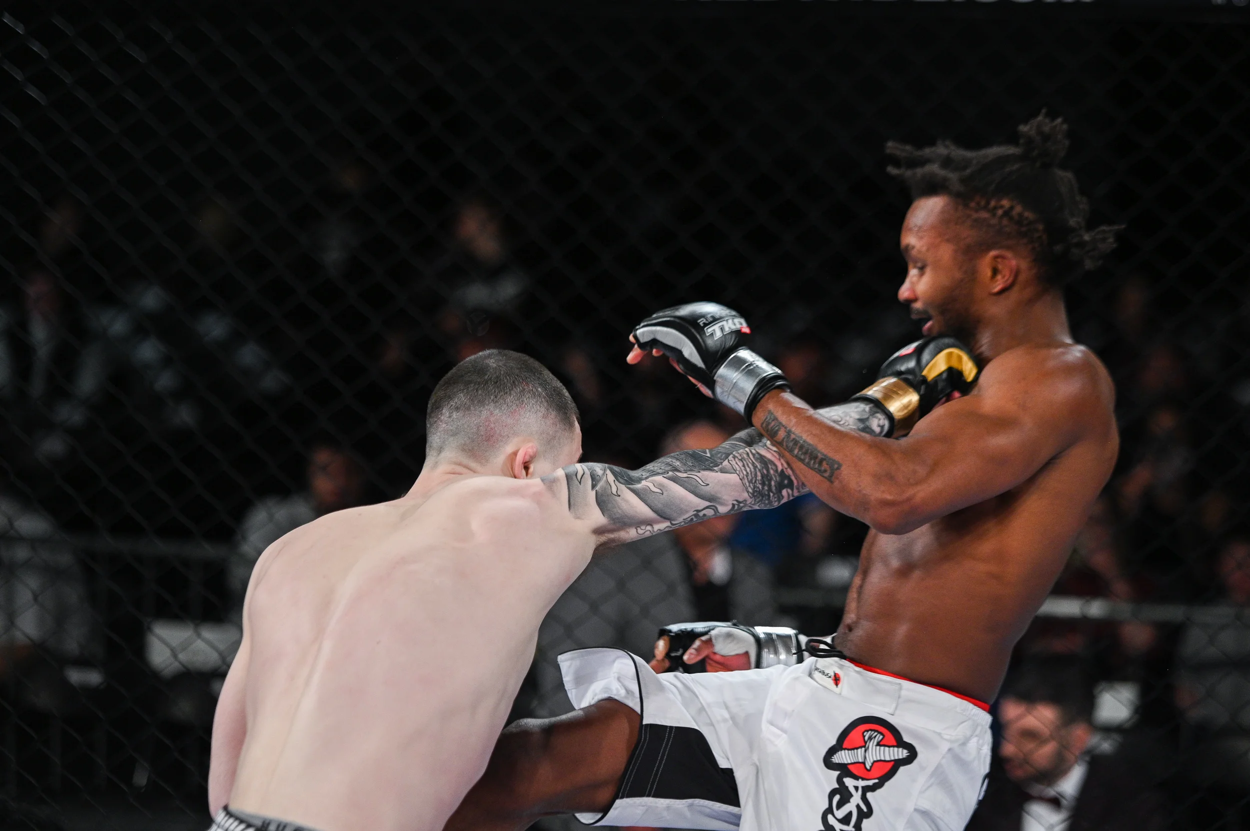 tko47-16.jpg