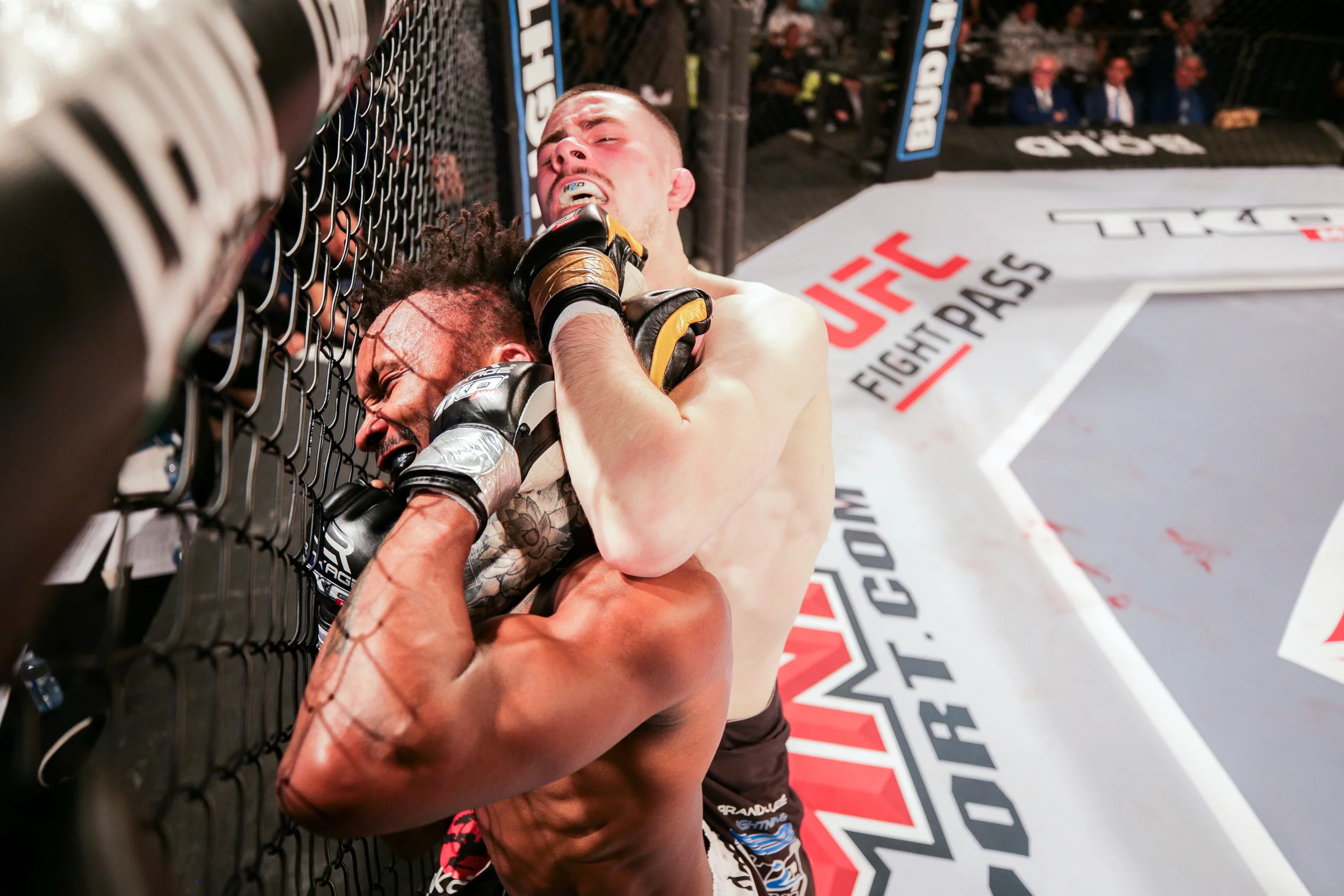 tko47-20.jpg